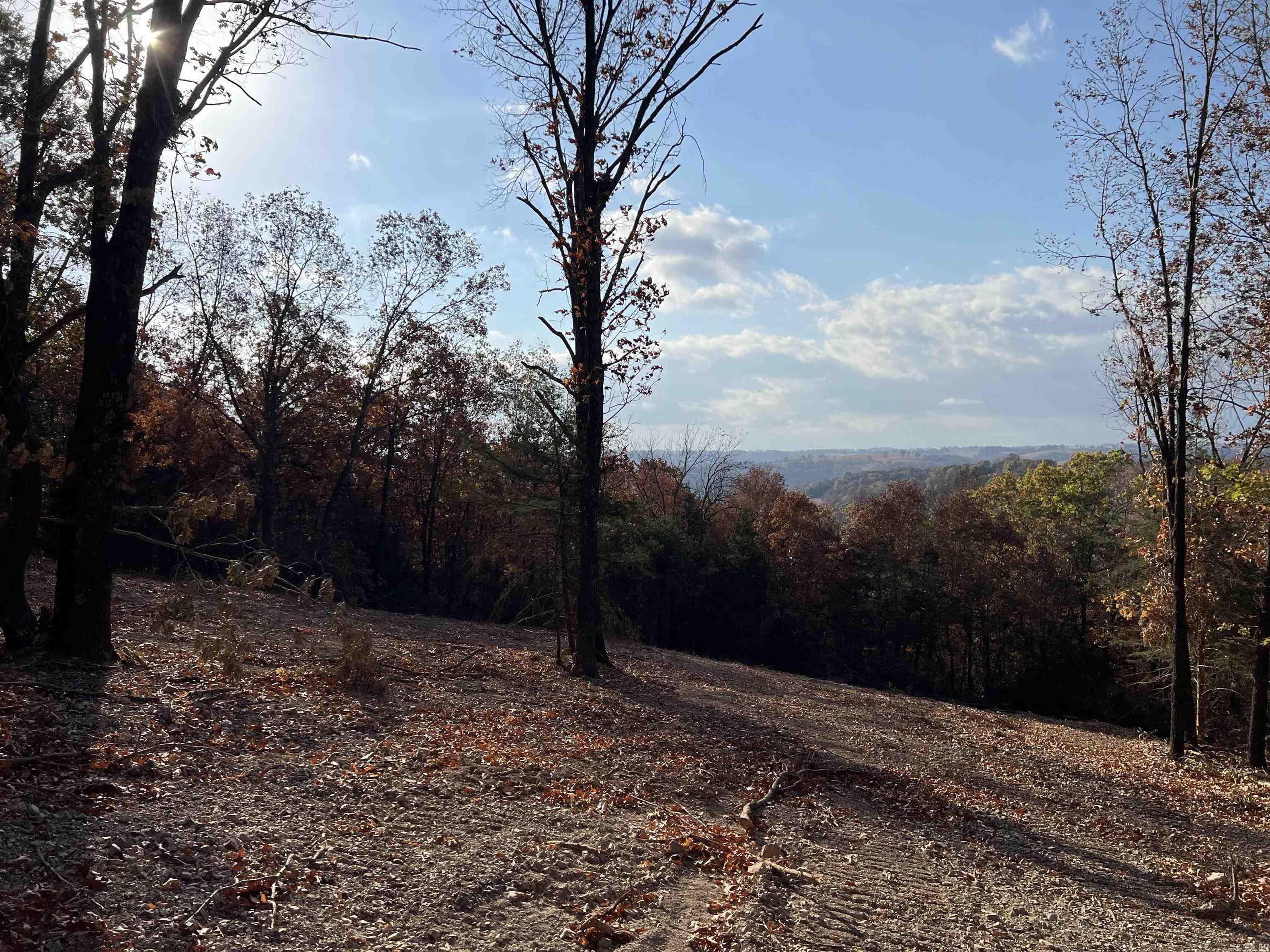 Spectacular View!! The property features a nice building site with lots of hardwood trees, no property restrictions, and electric is available. Call today to schedule a showing.