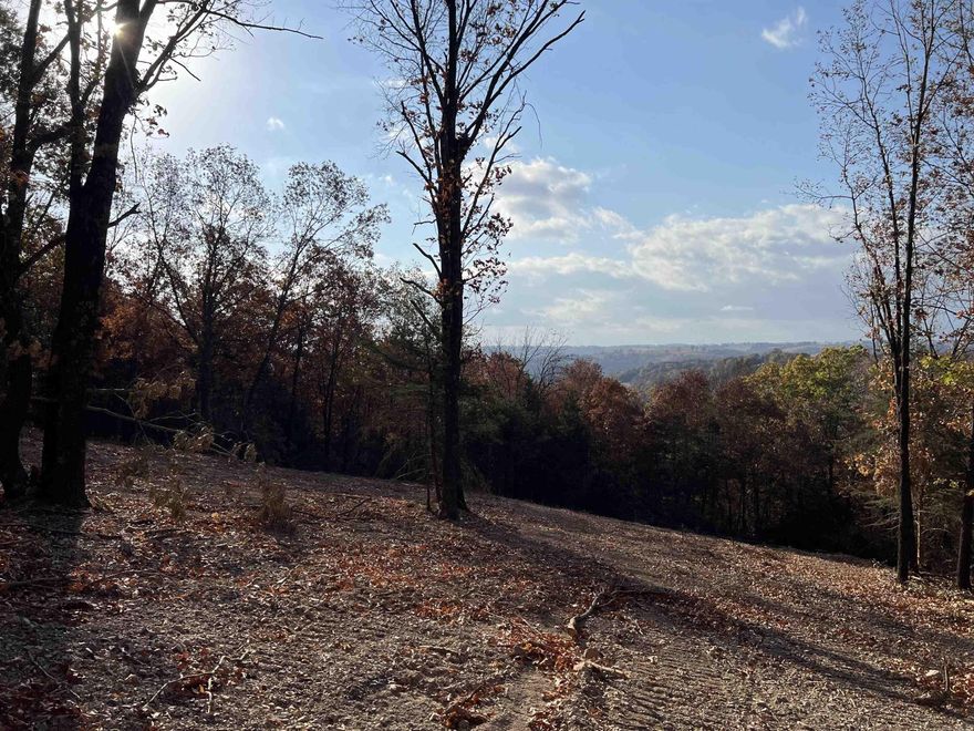 Spectacular View!! The property features a nice building site with lots of hardwood trees, no property restrictions, and electric is available. Call today to schedule a showing.