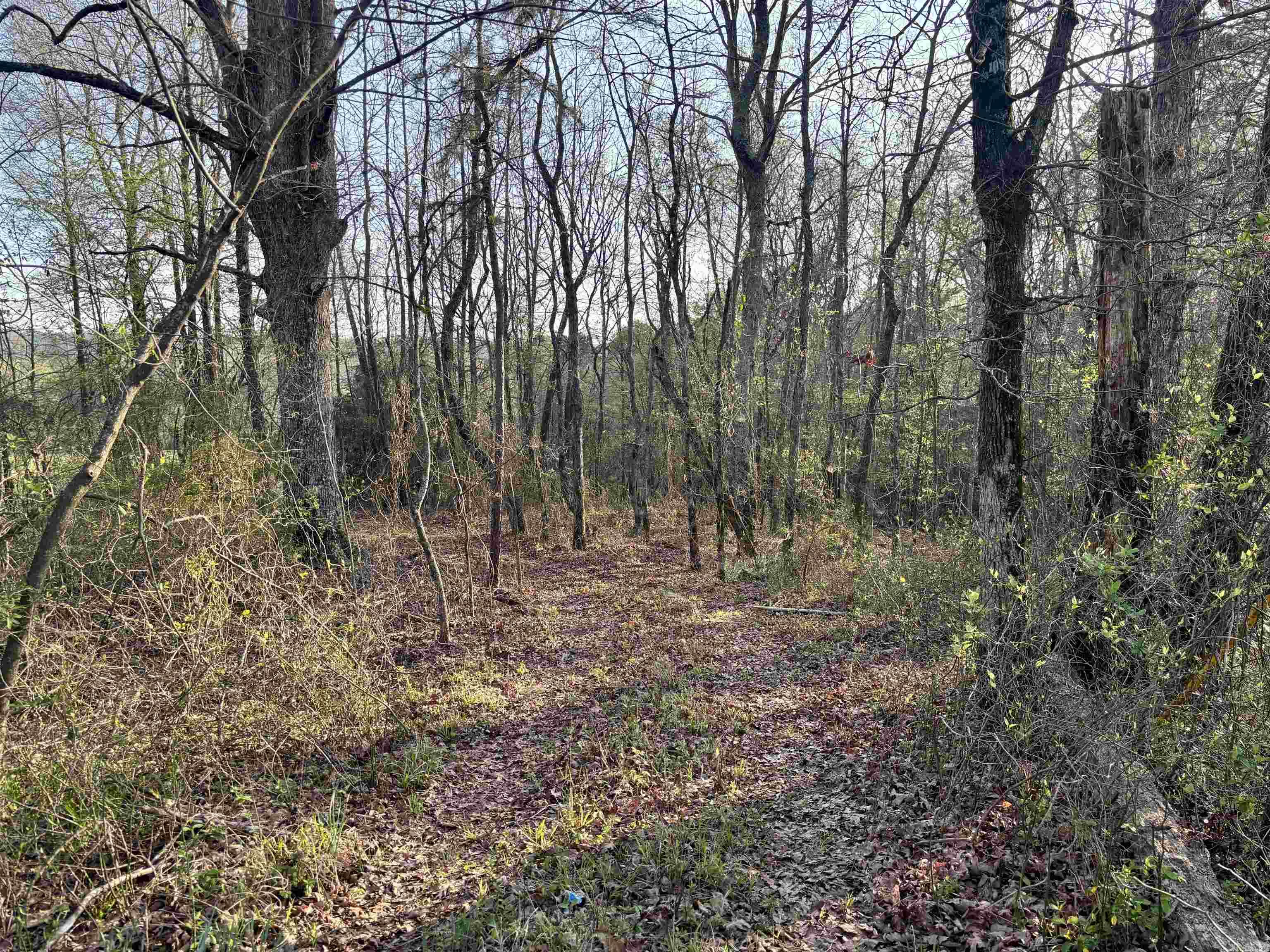 Metes & Bounds - Land