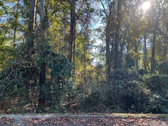 Looking to build, take a look at these lovely lots located on Mockingbird Lane. Buy one or multiple with 4 in a row to choose from. They are priced to sale and Perfect for individuals wanting to build their dream home or investors ready to build a spec home. Call today for more information.