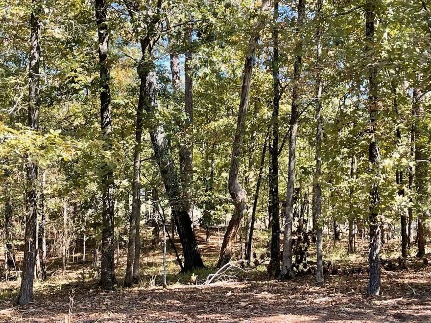 Beautiful lot in the largest gated community in the US
