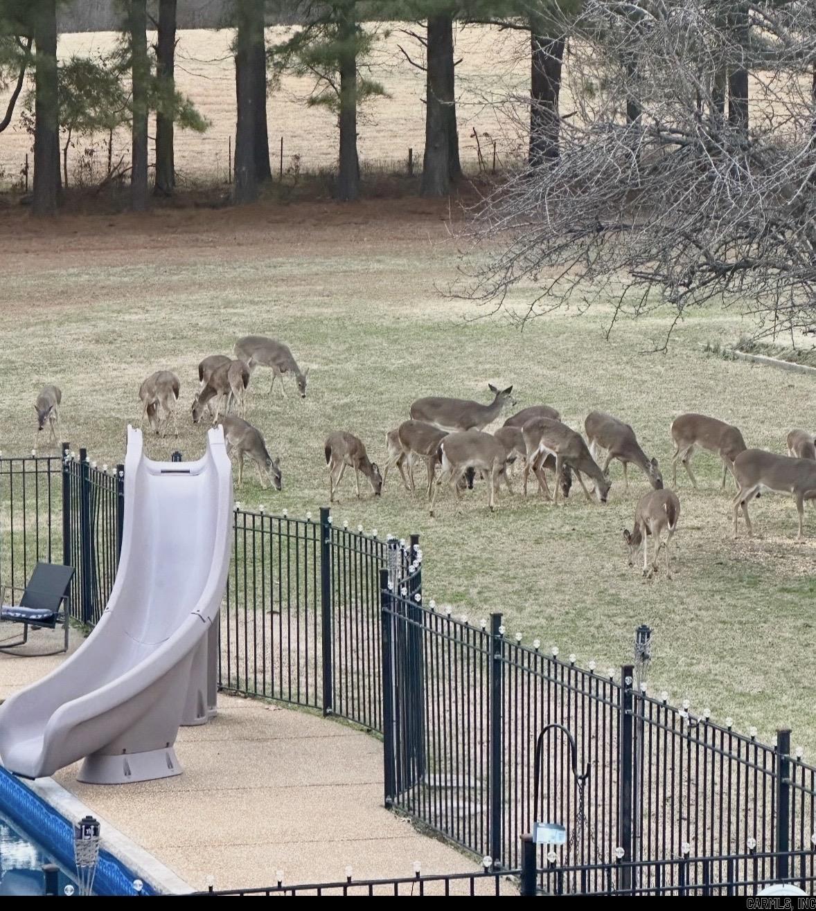 MCDANIEL'S - Residential