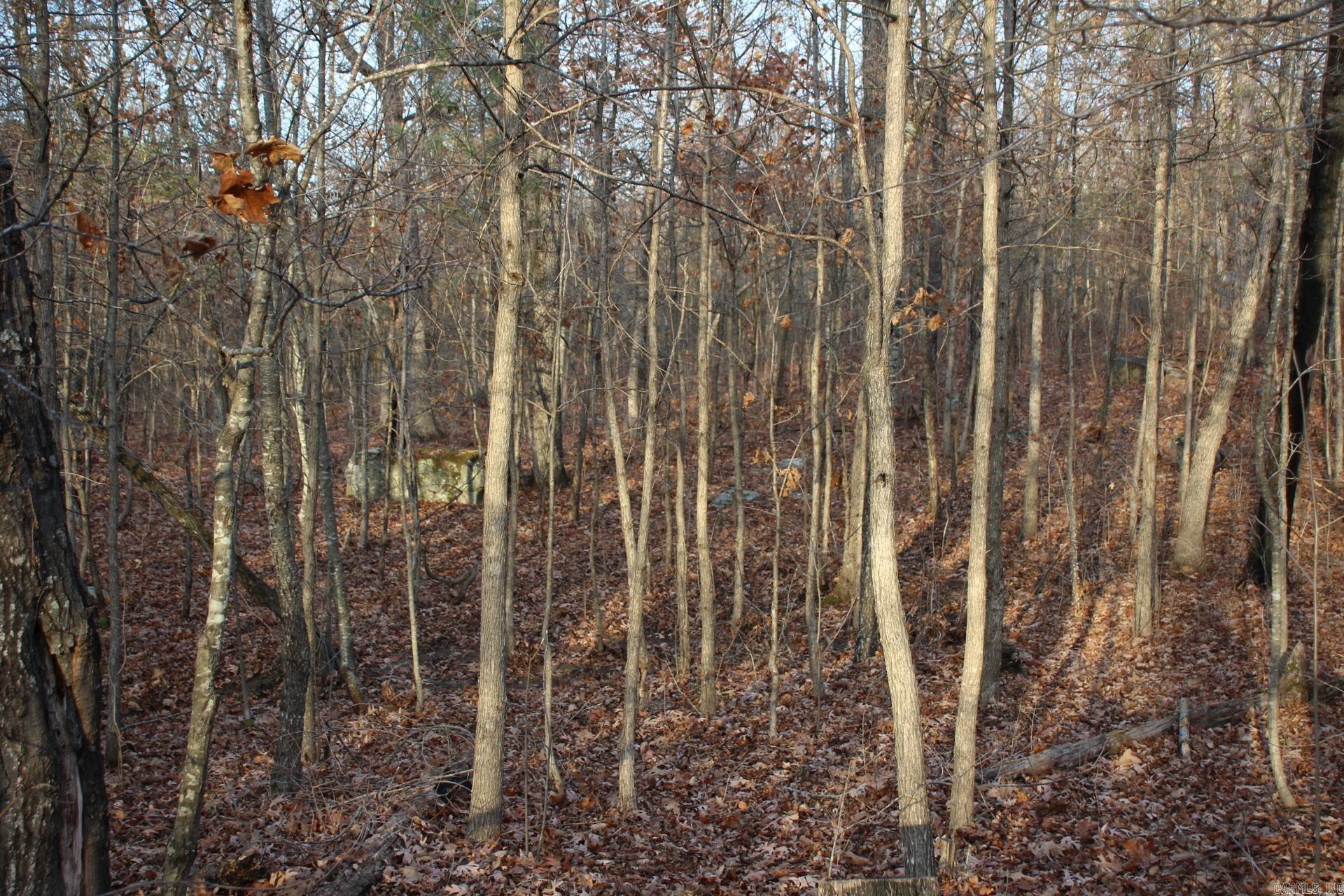 Not in Subdivision - Land