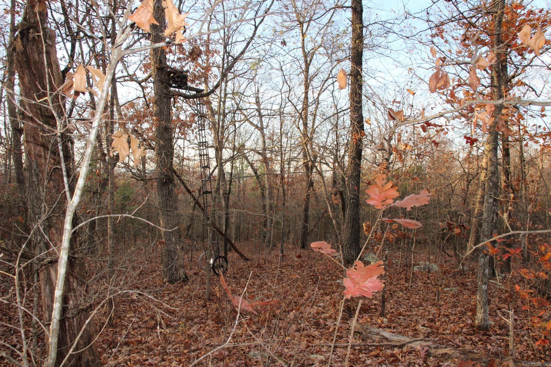 Not in Subdivision - Land