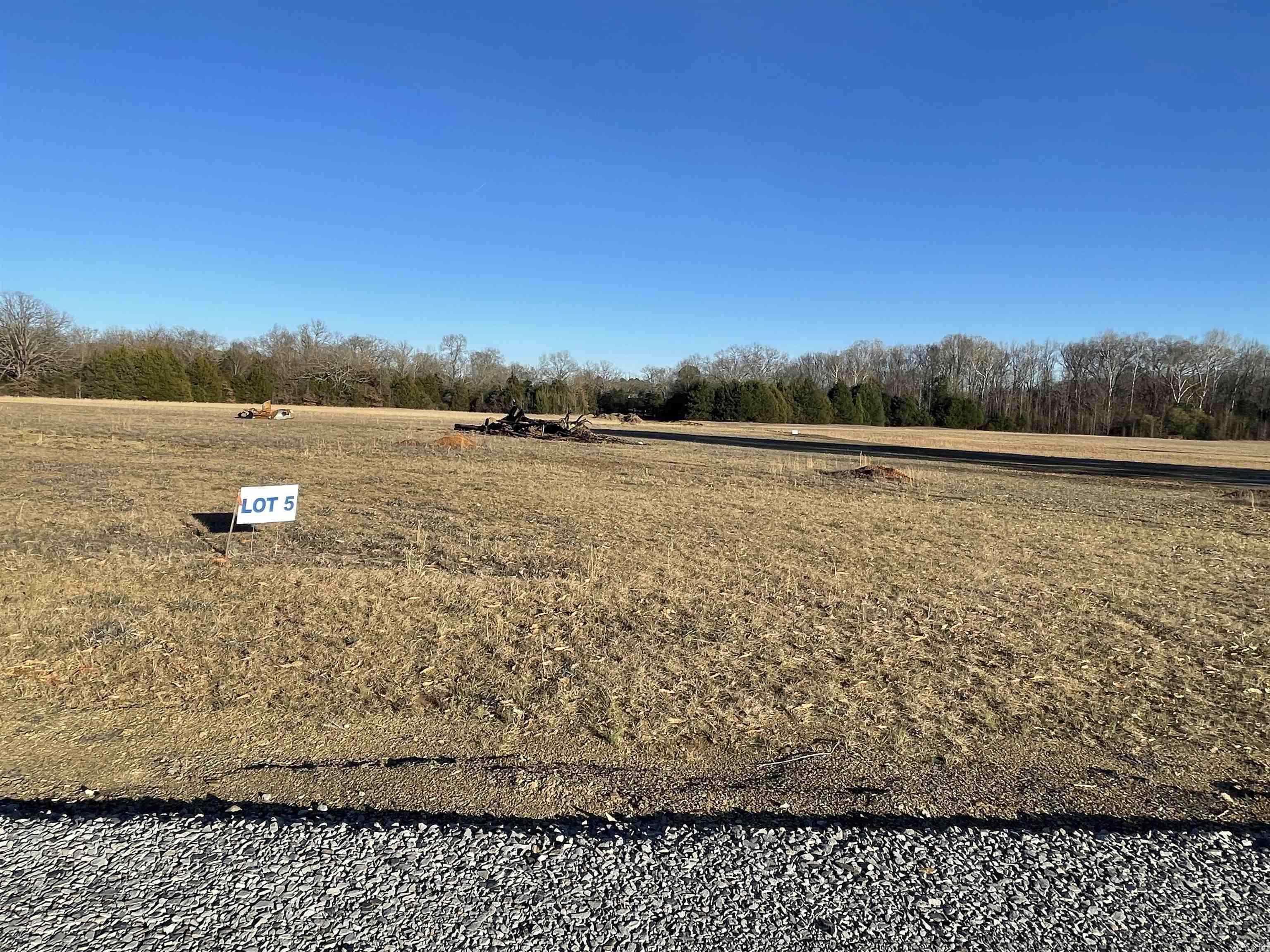 Your dream home starts here! Why settle when you can build? Partner up with the builder and design the perfect home for you! This beautiful lot is on almost 1 acre. Just right outside of town in a very private area. There is one other lot available. There are covenant and restrictions, This is a nice CORNER lot. There is Summit gas, Entergy electric, Vilonia water, and internet available here. This property is a must see!