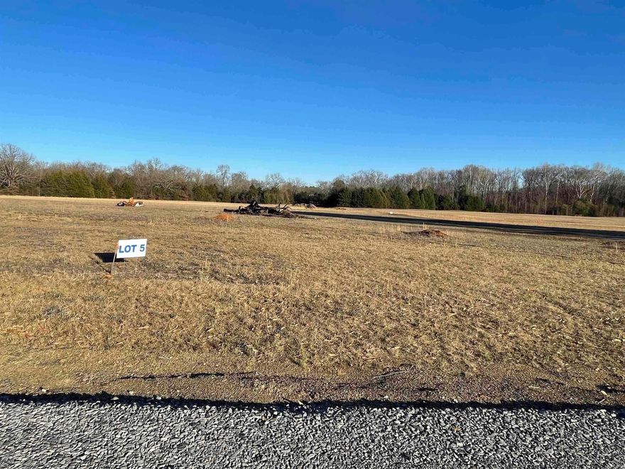 Your dream home starts here! Why settle when you can build? Partner up with the builder and design the perfect home for you! This beautiful lot is on almost 1 acre. Just right outside of town in a very private area. There is one other lot available. There are covenant and restrictions, This is a nice CORNER lot. There is Summit gas, Entergy electric, Vilonia water, and internet available here. This property is a must see!