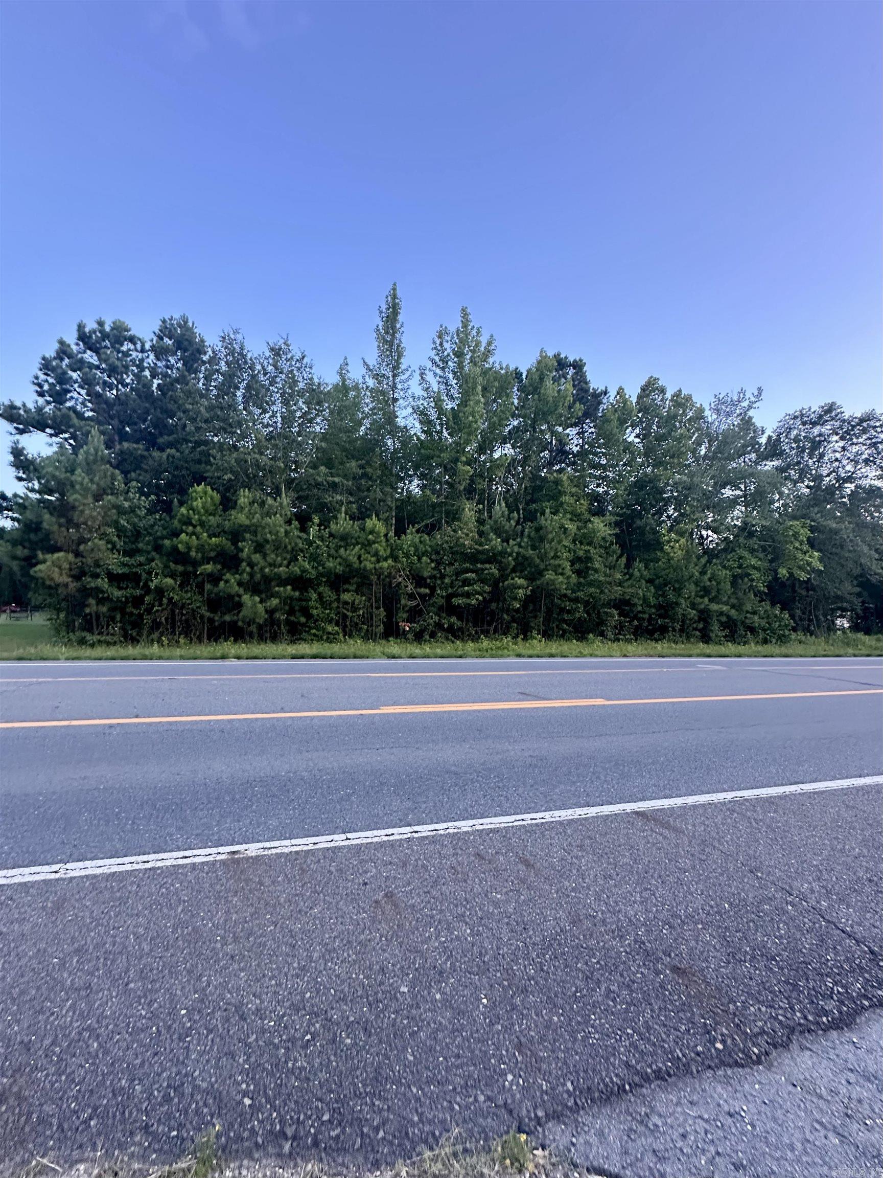 Discover the perfect spot for your next investment or future homesite with this 1.5-acre tract located just minutes from Malvern. With prime highway frontage on Highway 67, this mostly wooded and level property. Whether you're looking to build, develop, or simply invest in land with great visibility and access, this location checks all the boxes. Utilities are available at the road. Don’t miss your chance to own a versatile piece of land!