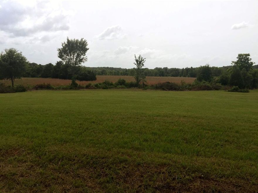 Flat and cleared land with plenty of space between neighbors. Small wet weather creek runs through the property. Just 10 miles from Conway. City water at the road.