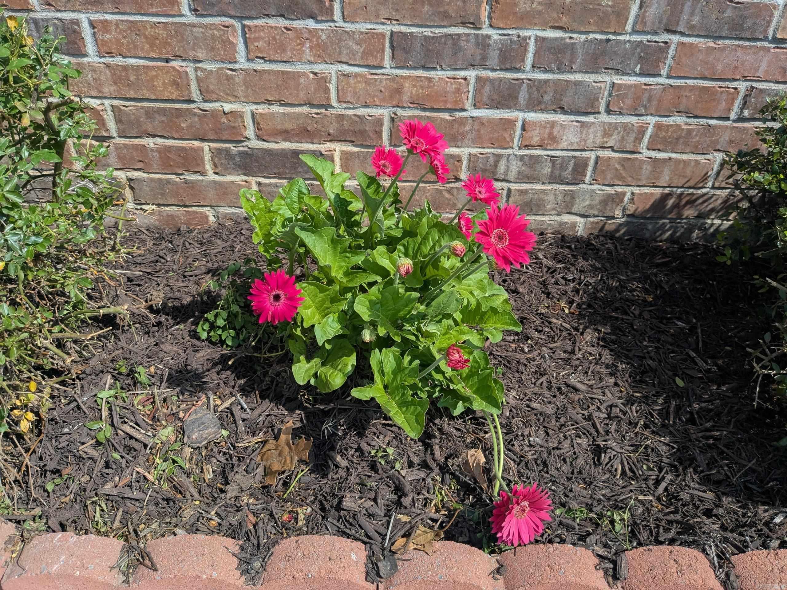 Willow Pointe - Residential