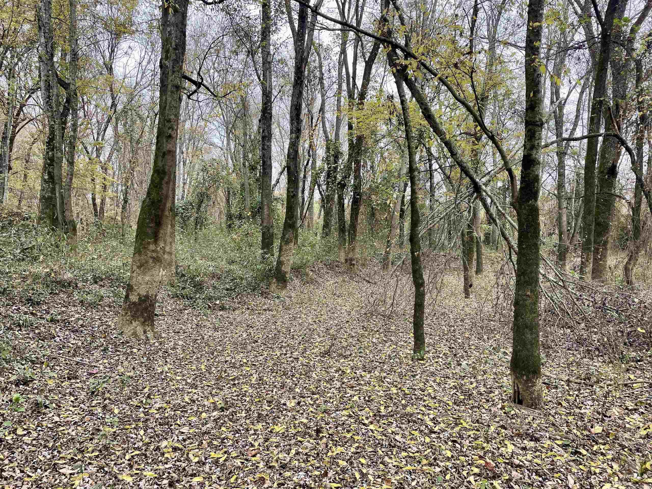 Not in Subdivision - Land