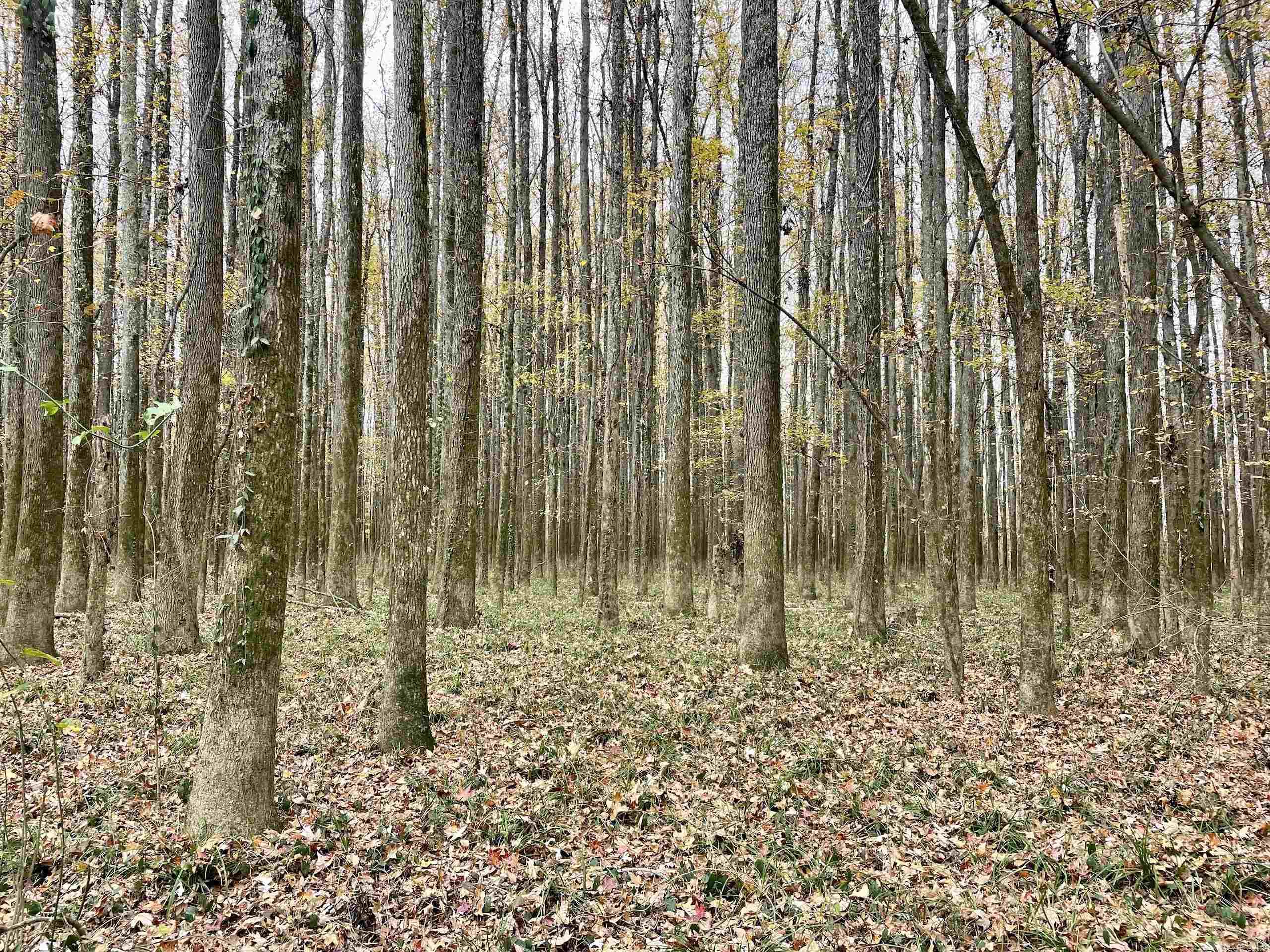 Not in Subdivision - Land