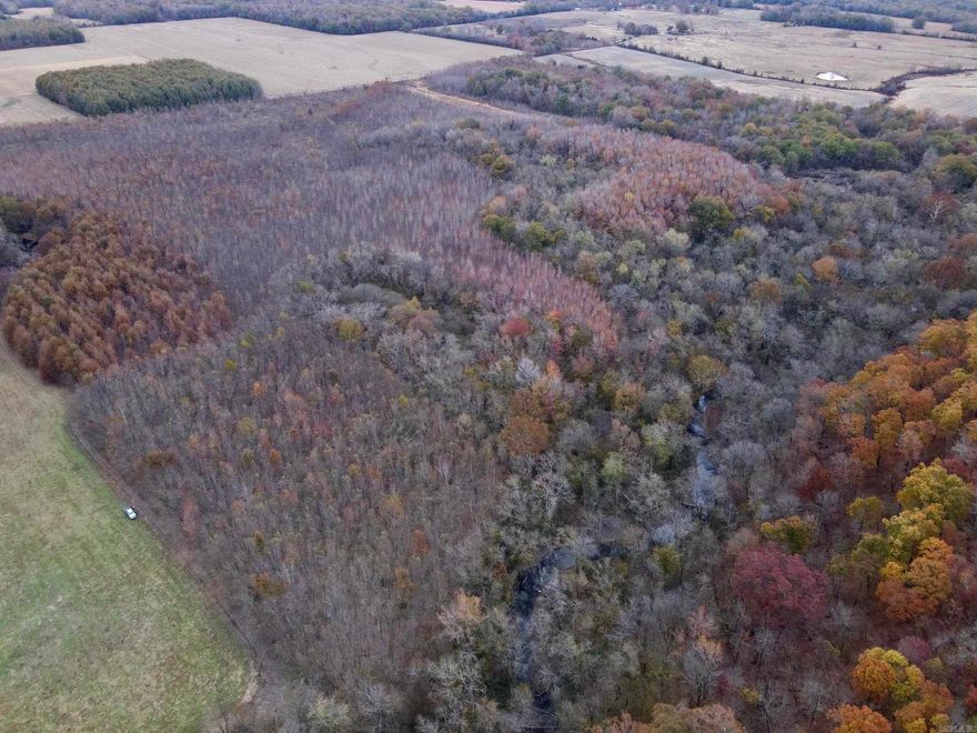 If you have been looking for a unique place with an excellent location, creek frontage, and amazing hunting opportunities, you might want to take a close look at this property. Located just minutes from Greenbrier, this property has a gated entrance and is located at the end of a deeded private easement, providing privacy and low hunting pressure. In addition to the mature timber and great wildlife habitat there is approximately 1/2 mile of Muddy Bayou flowing through the property! Of course, fishing is good, but in the winter, the timber floods, fills three duck holes, and creates great duck hunting, too! Deer, turkey, fishing and duck hunting are all just minutes from home, not hours.