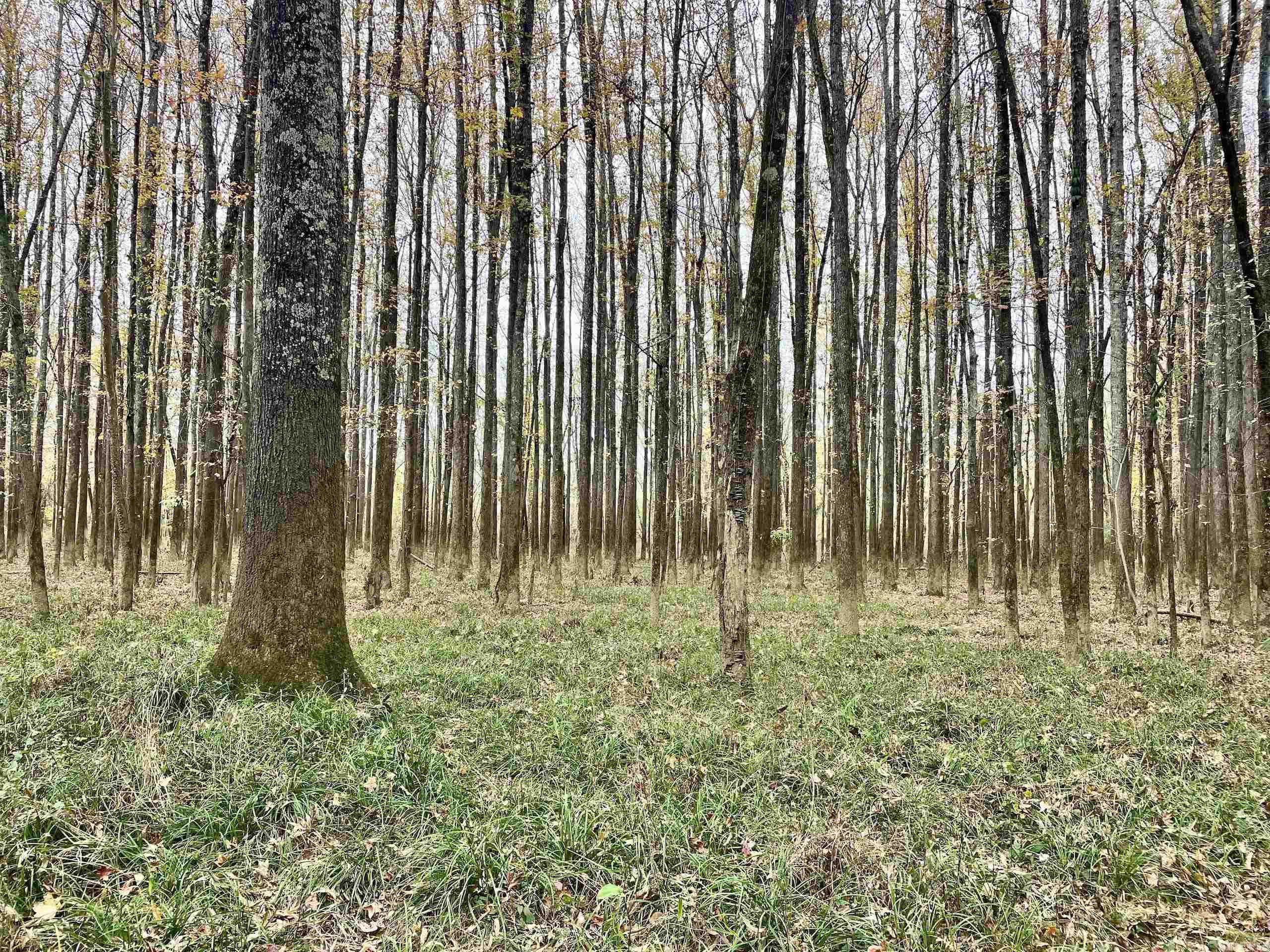 Not in Subdivision - Land