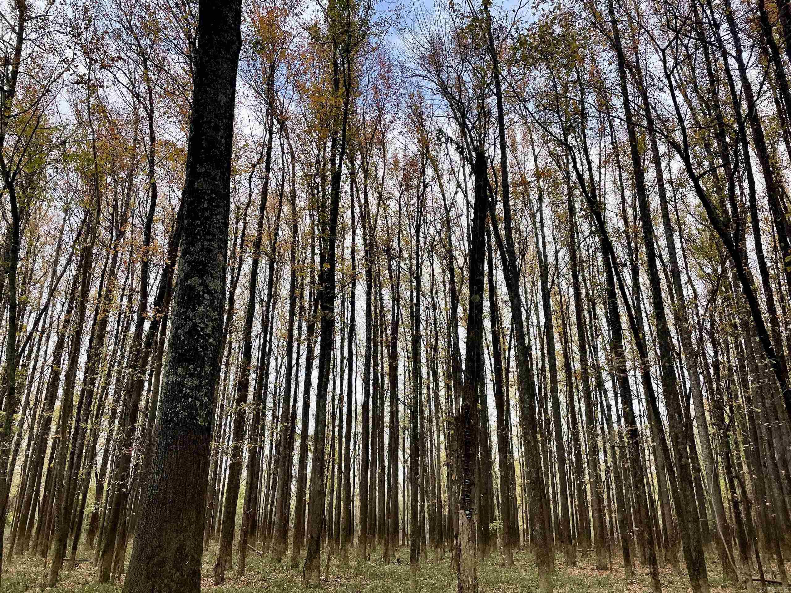 Not in Subdivision - Land