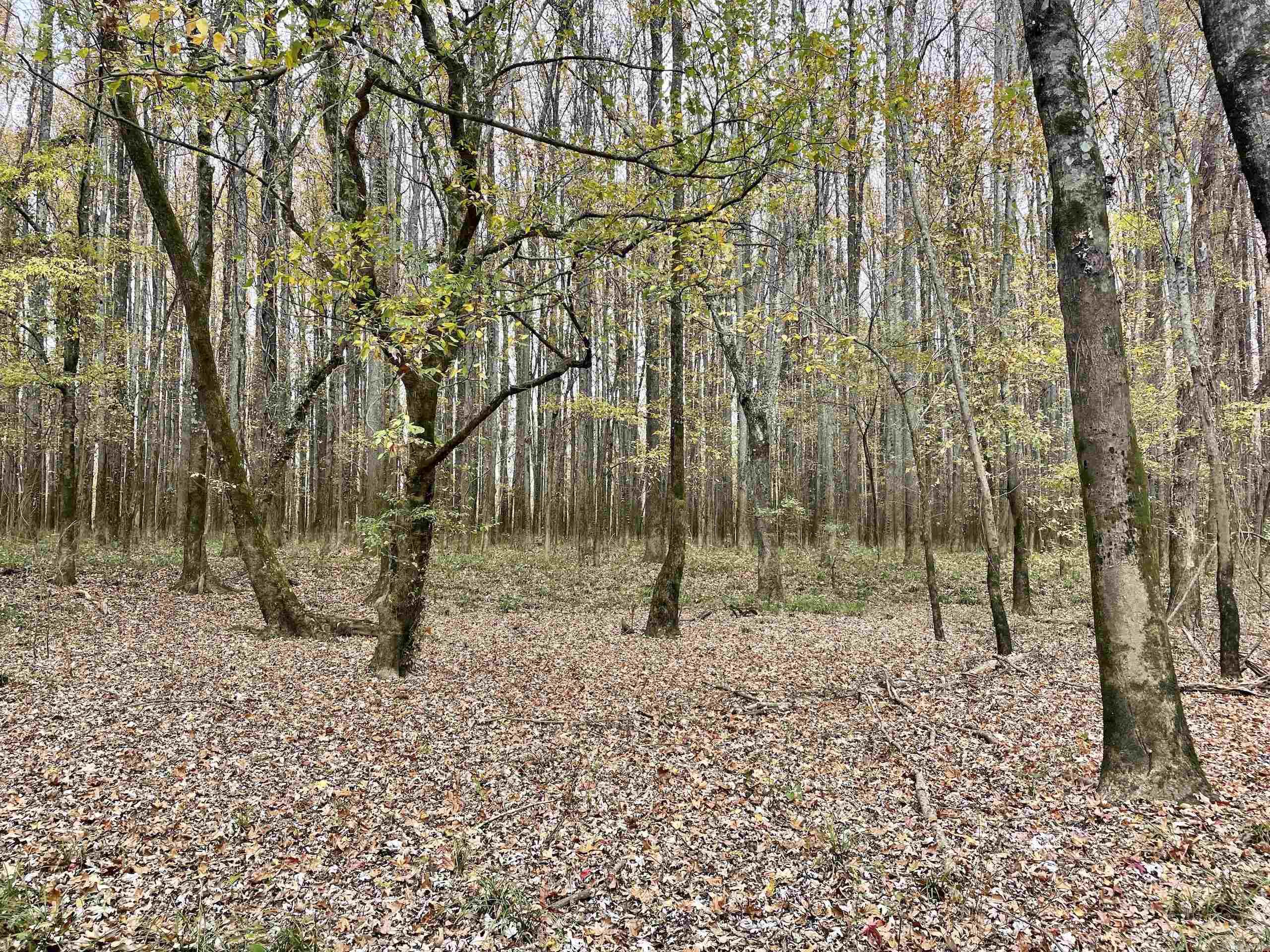 Not in Subdivision - Land