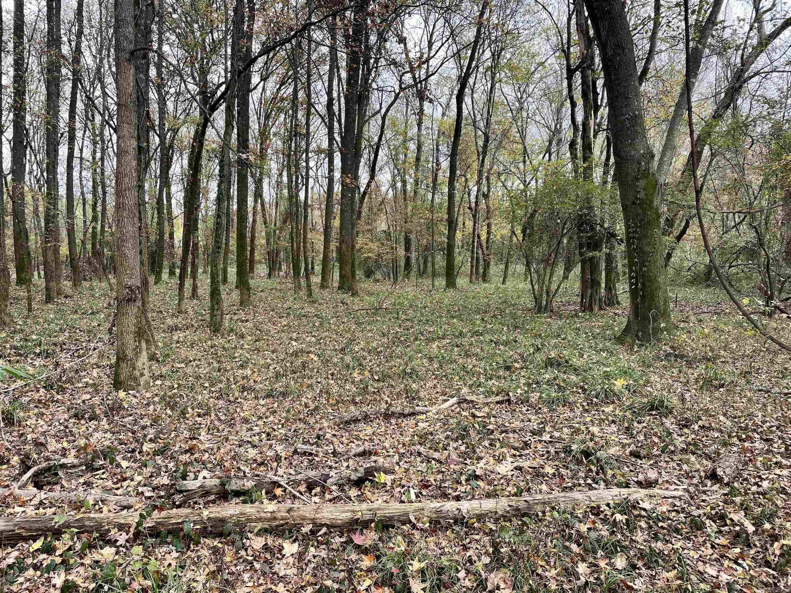 Not in Subdivision - Land