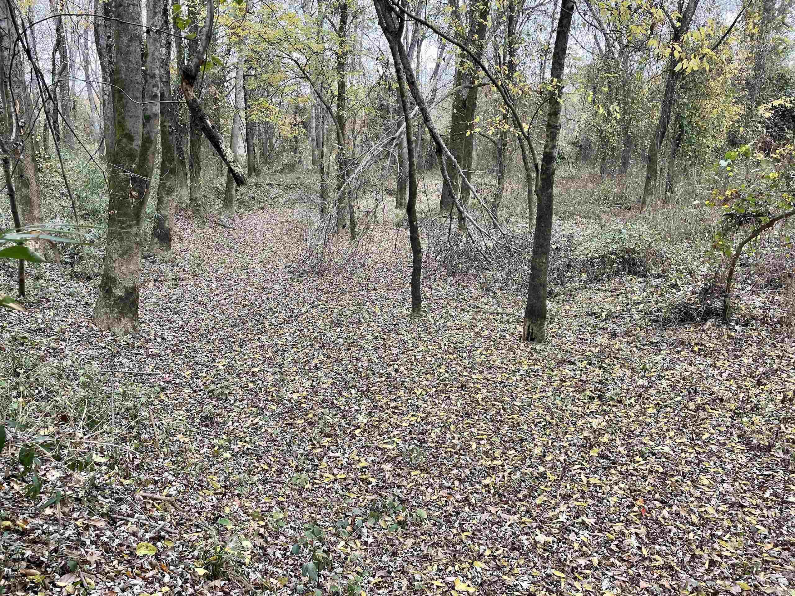 Not in Subdivision - Land