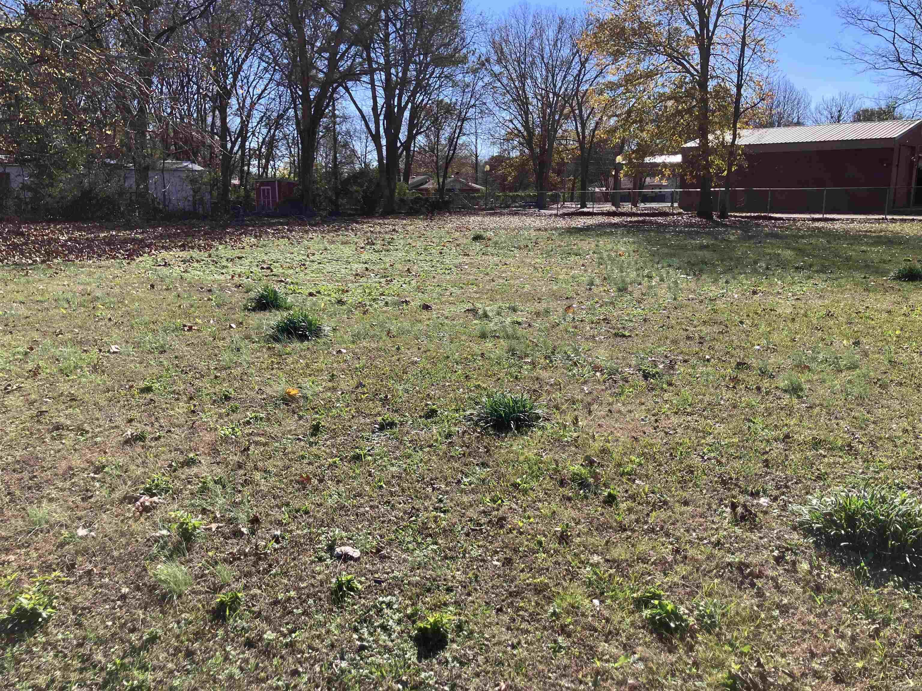 Bald Knob Original Town - Land