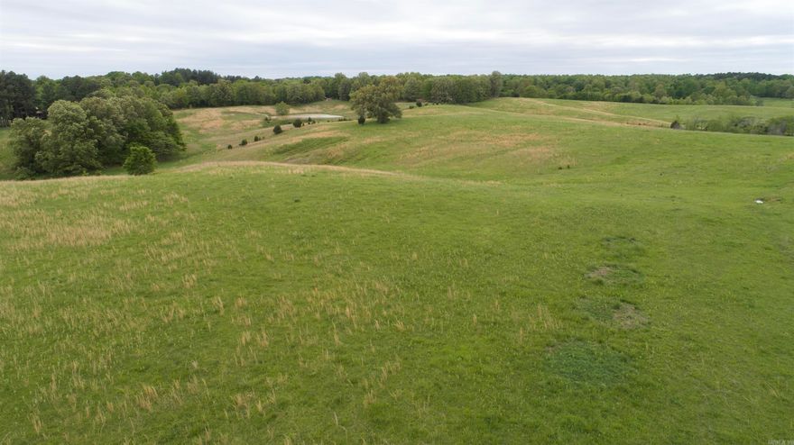 42.5 Acres of prime pasture ground with two PONDS.  Already fenced and has an easy entrance onto property right off of CR 461. Water meter already on property, and looking for its forever people to Build their dream home or stick some cattle out on.  This won't last long