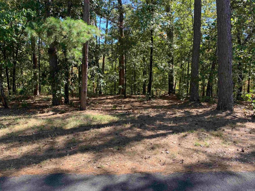 Beautiful building lot on Lake Pineda! Come build your dream home in Hot Springs Village. Make this one yours and begin enjoying all the Village amenities. New buyers to the Village have a $300.00 buy in fee payable to the POA at closing.