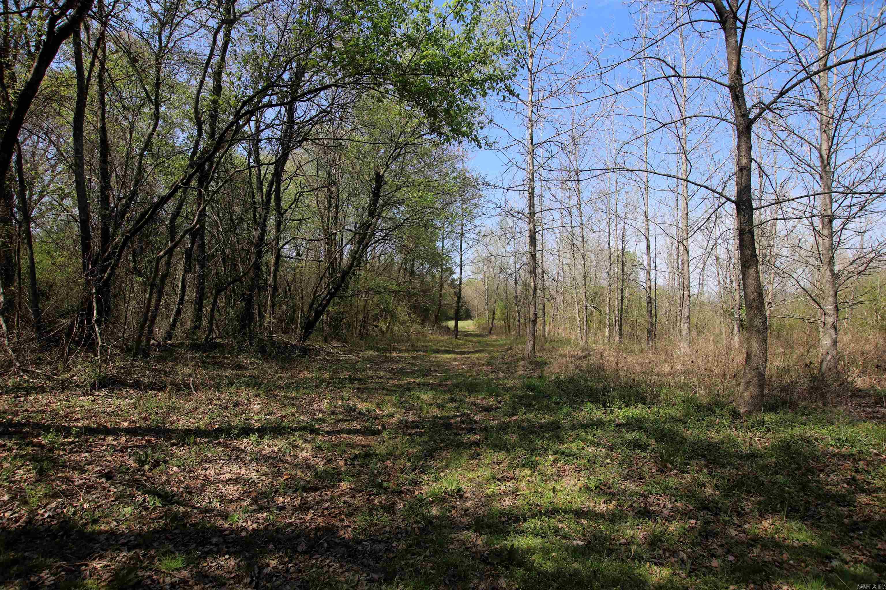 Not in Subdivision - Farm