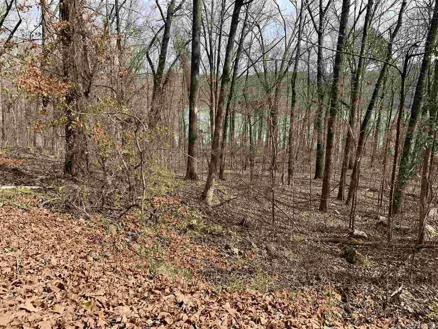 Great Lakefront Lot in a desirable neighborhood for building a nice home! Super quiet area. Watersedge is very close to the town of Greers Ferry and Fairfield Bay .  Close to ATV, hiking, and mountain biking trails. The Little Red River is minutes away!