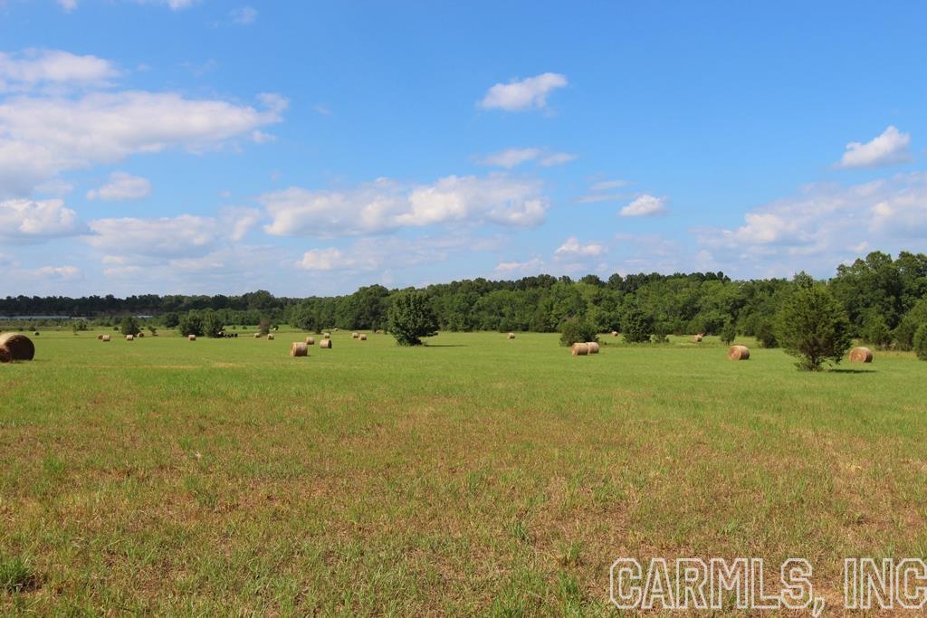 Photo 40 of 40 of 278 Hwy 64 E land