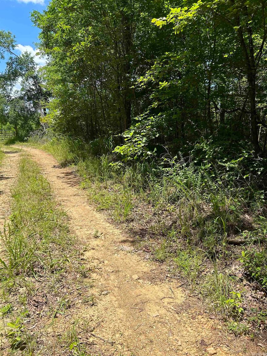 Secluded 3.2± acres very near Southfork Caddo and Caddo Rivers, if you're looking for a quiet spot to have a cabin this is it. No restrictions just a short drive to Caddo Gap, Glenwood and Ouachita Mountain trails.