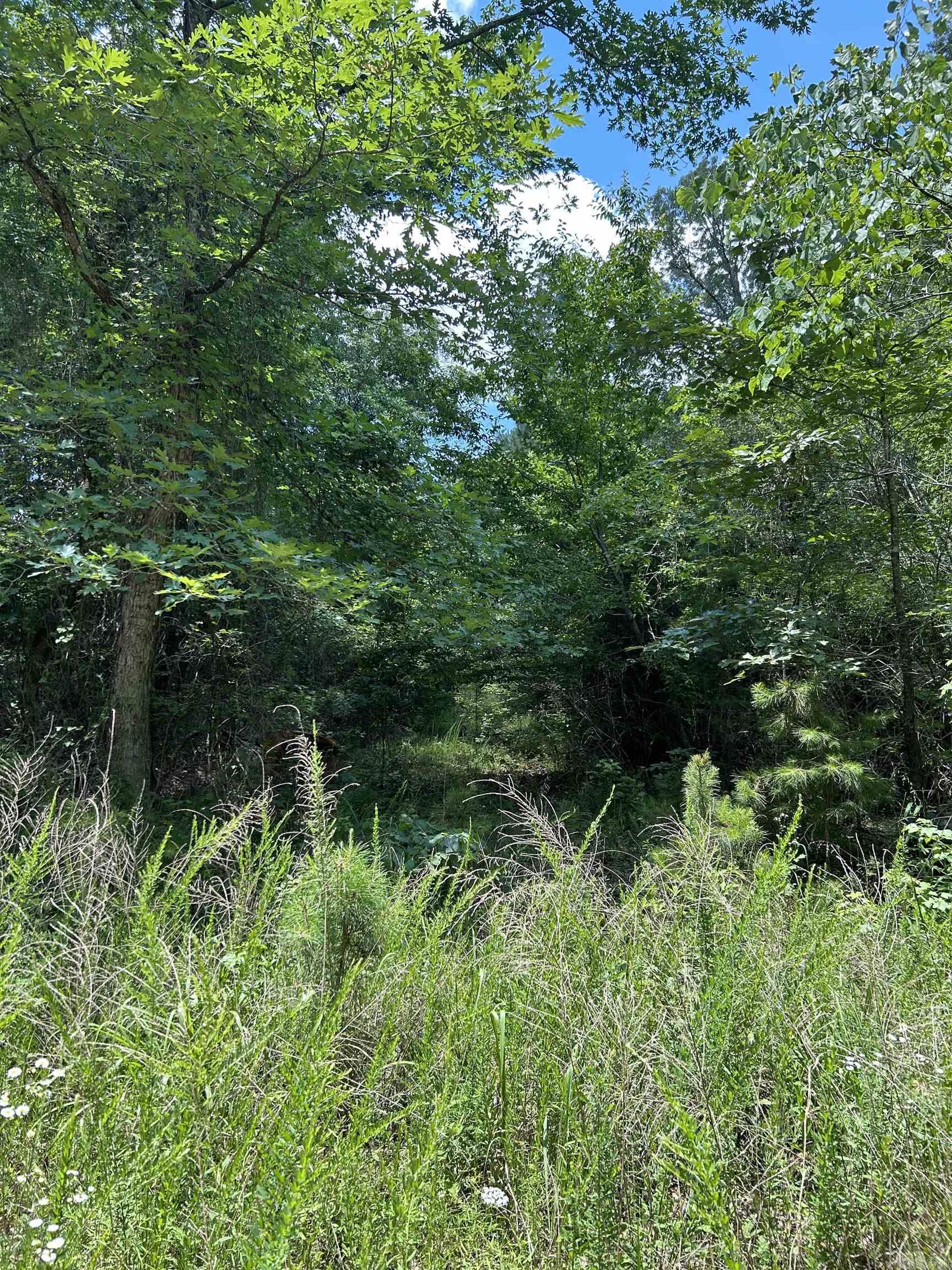 Glory Mountain Estates - Land