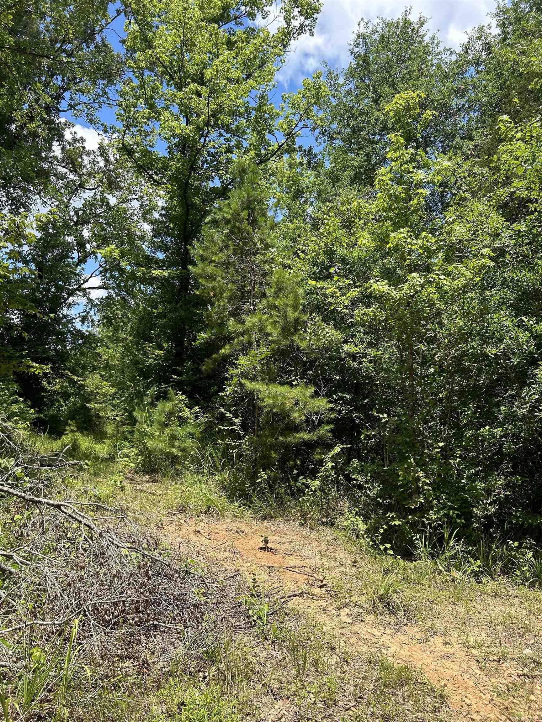 Glory Mountain Estates - Land