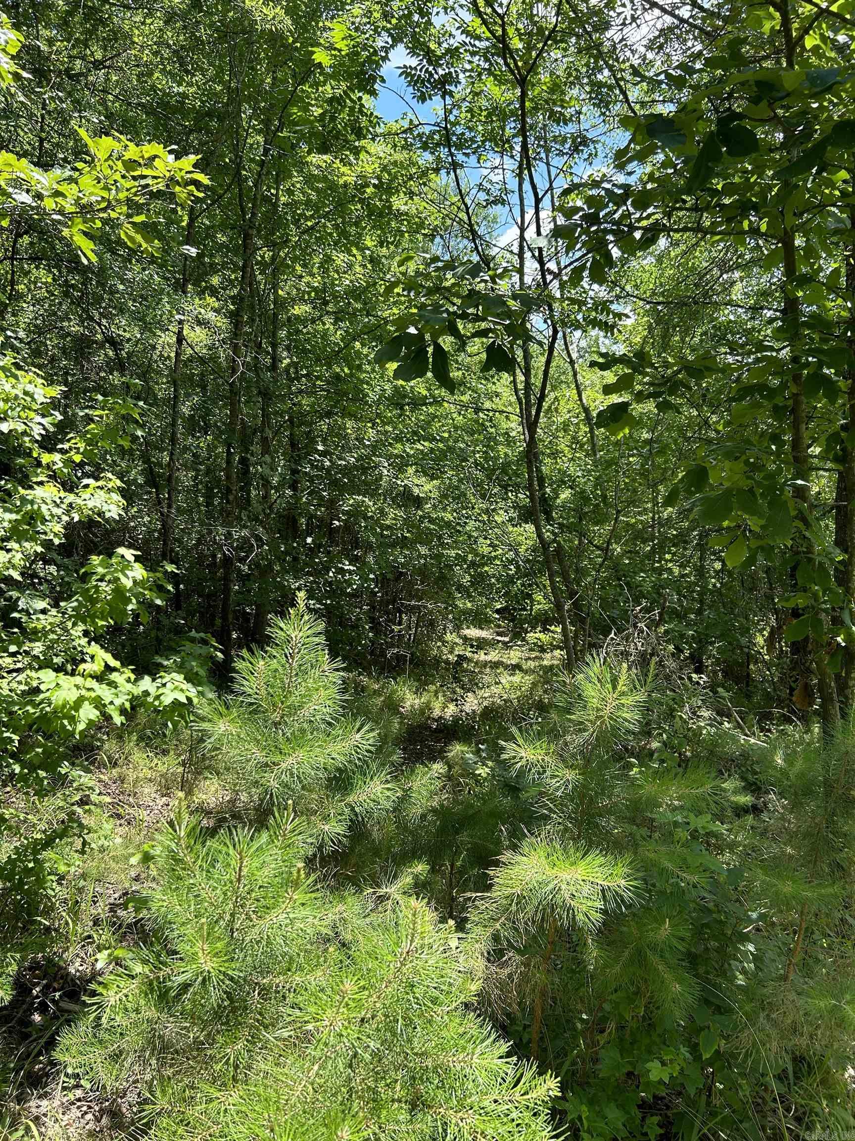 Glory Mountain Estates - Land