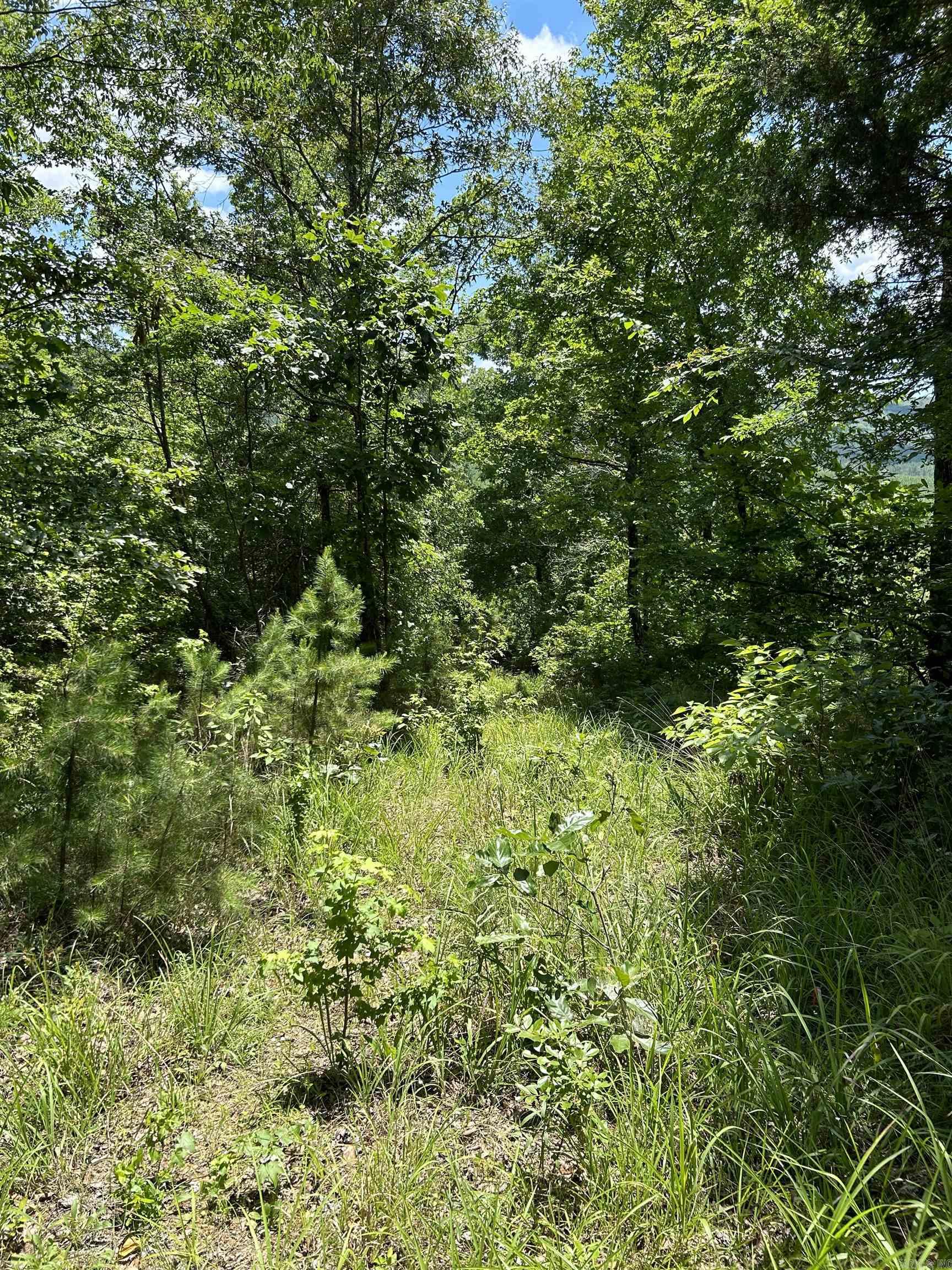 Glory Mountain Estates - Land