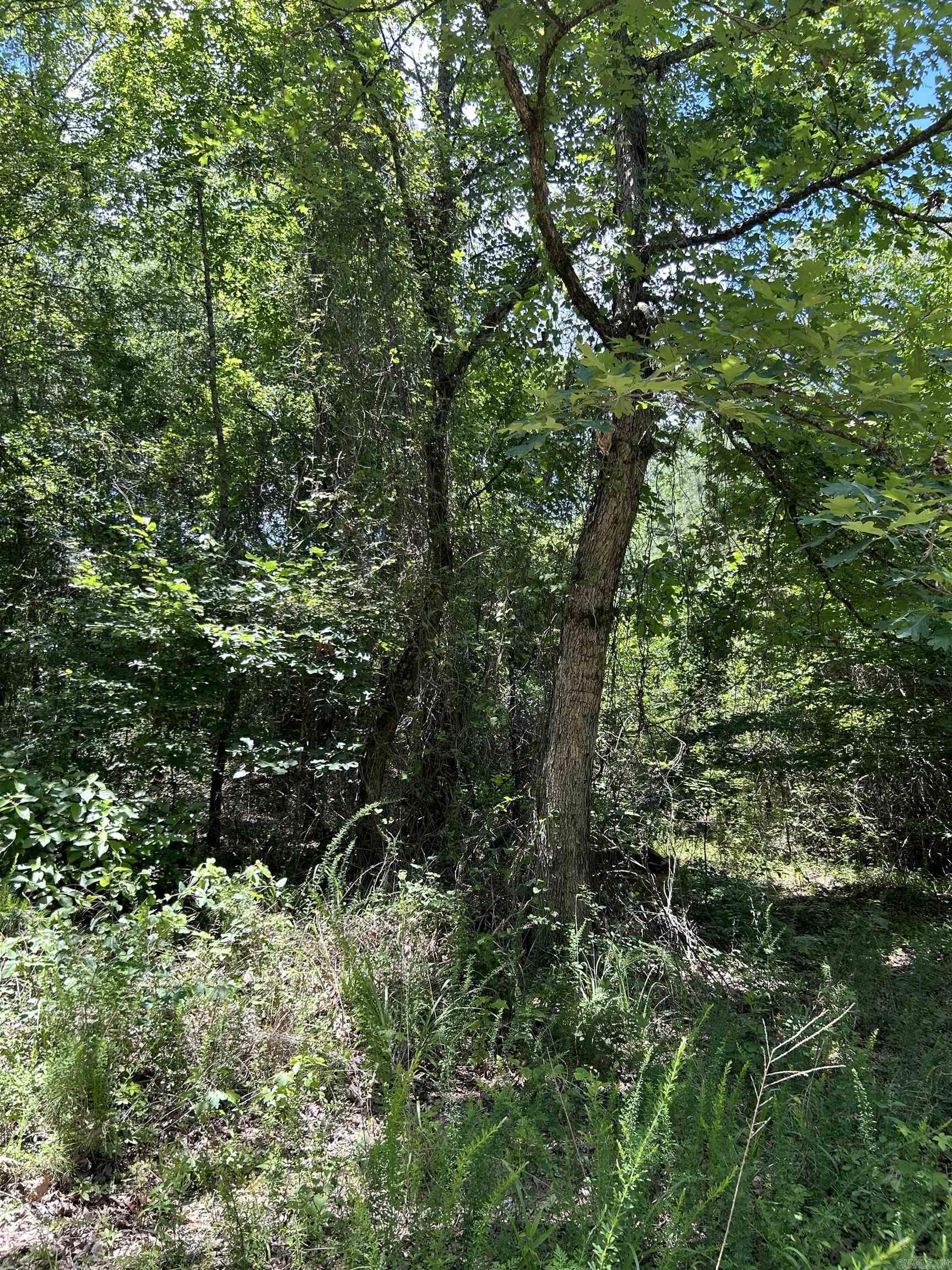 Glory Mountain Estates - Land