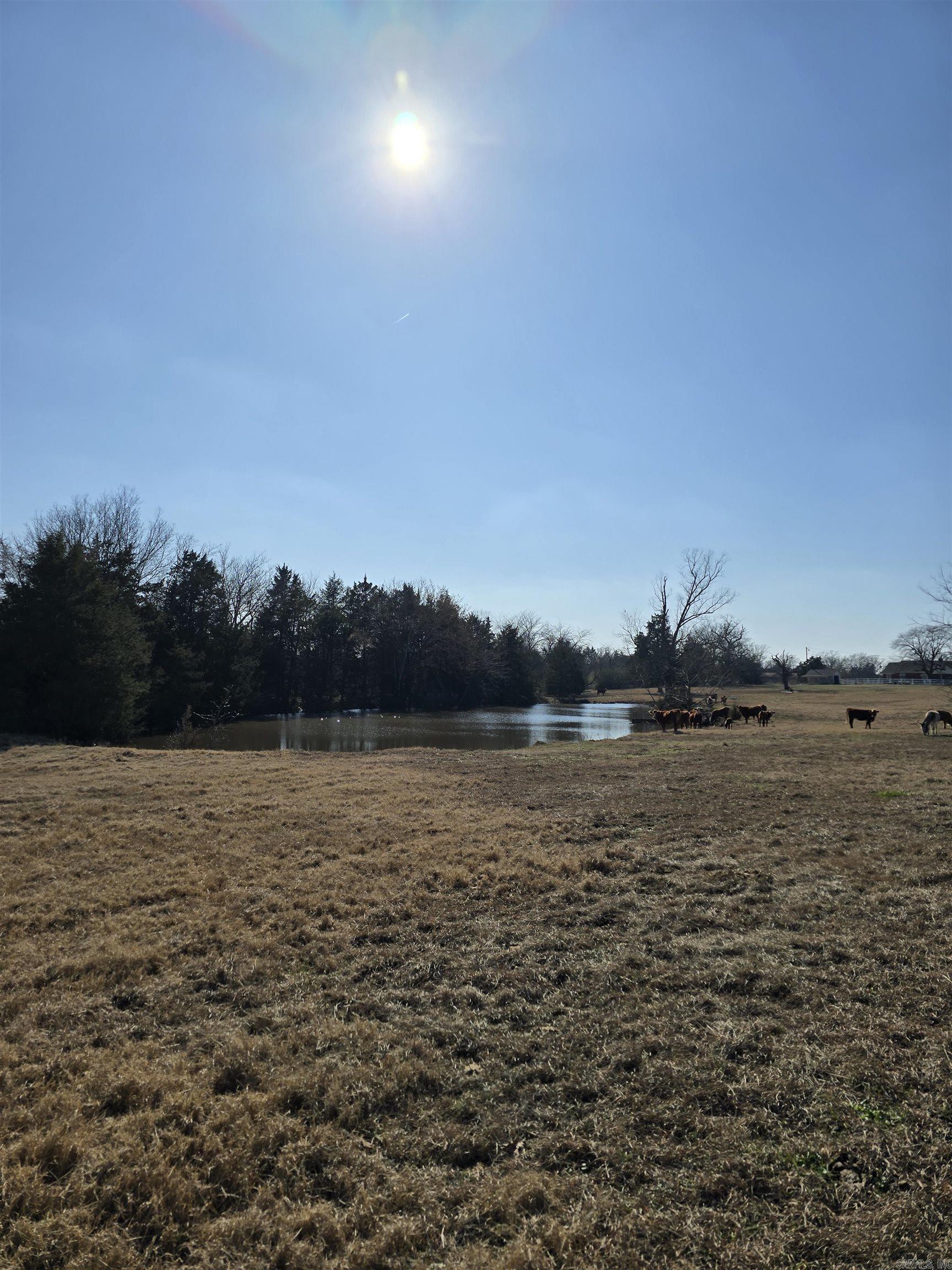 SOUTHSIDE M&B - Land