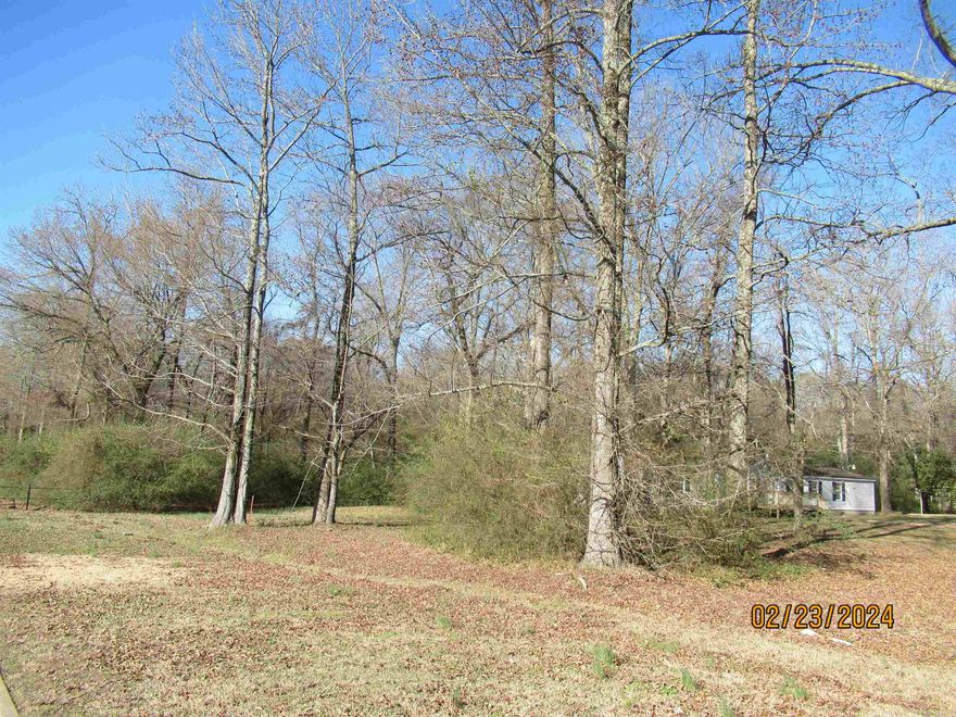 Acreage is 3.8+/- ; Utilitiety  on road ELECTRIC FOR CLARITY; Survey in Docs ;Text or call agent Next door to Rainey Electronics; Mobile home with acreage has already been Sold