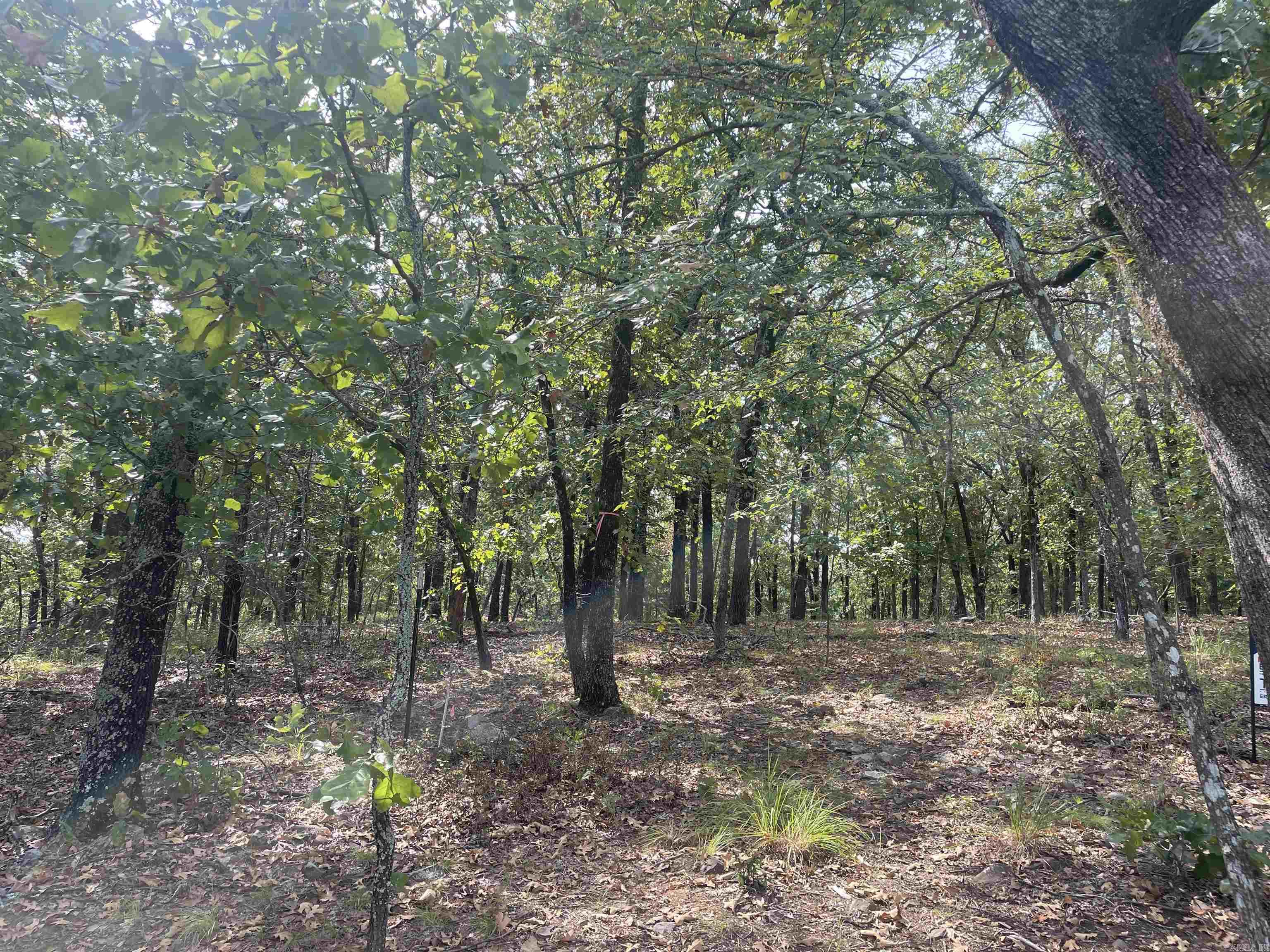 Gorgeous 8 acres of wooded beauty on top of a hill. Spectacular 6 ac homesite.