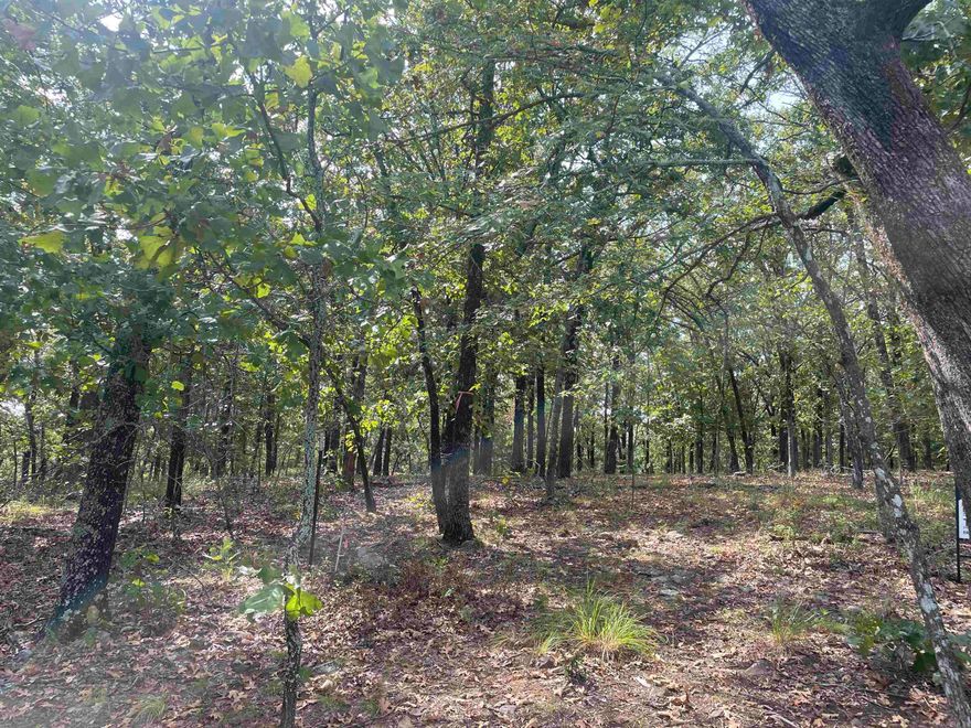 Gorgeous 8 acres of wooded beauty on top of a hill. Spectacular 6 ac homesite.