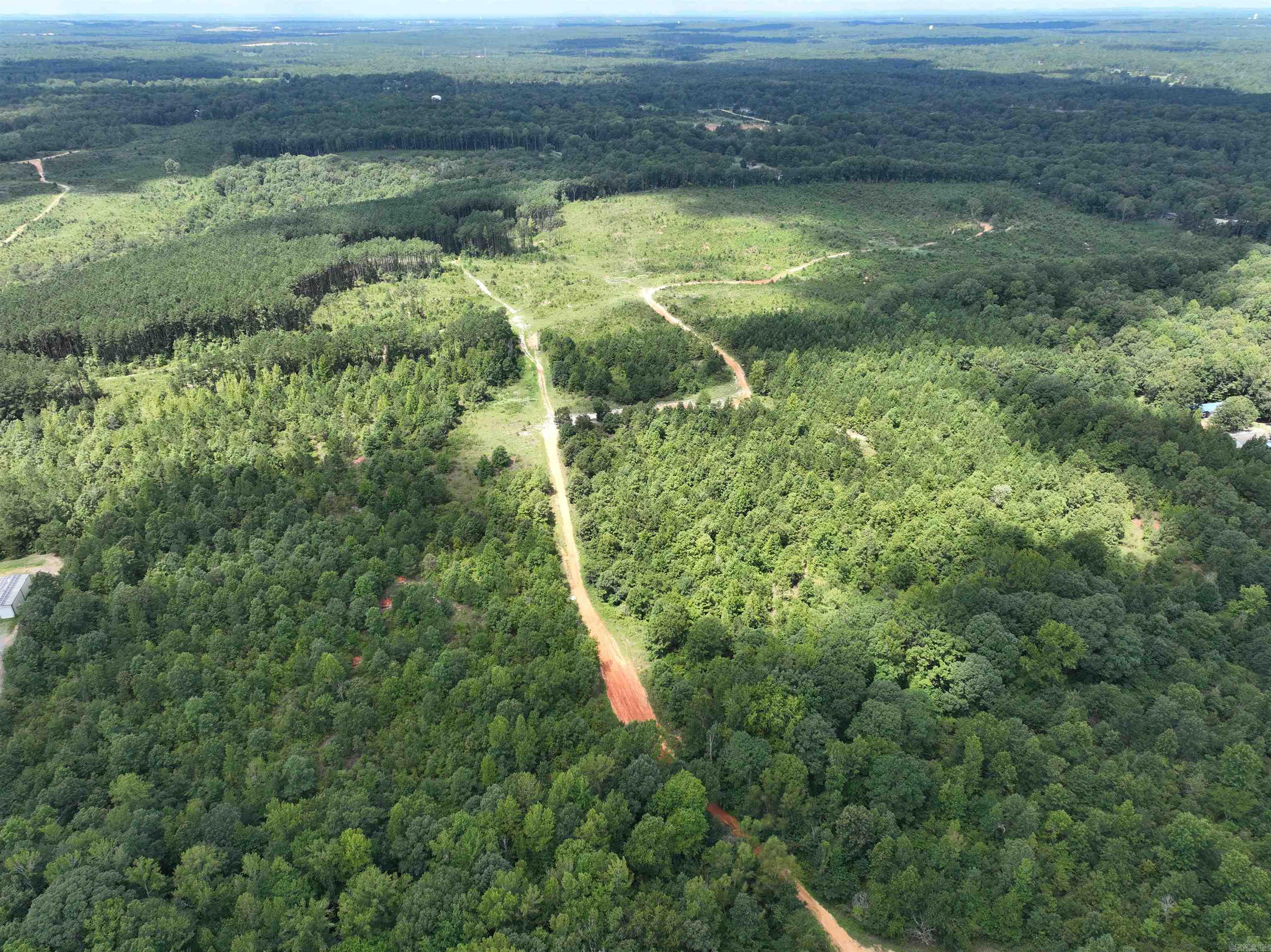 Mountain Pine - Land