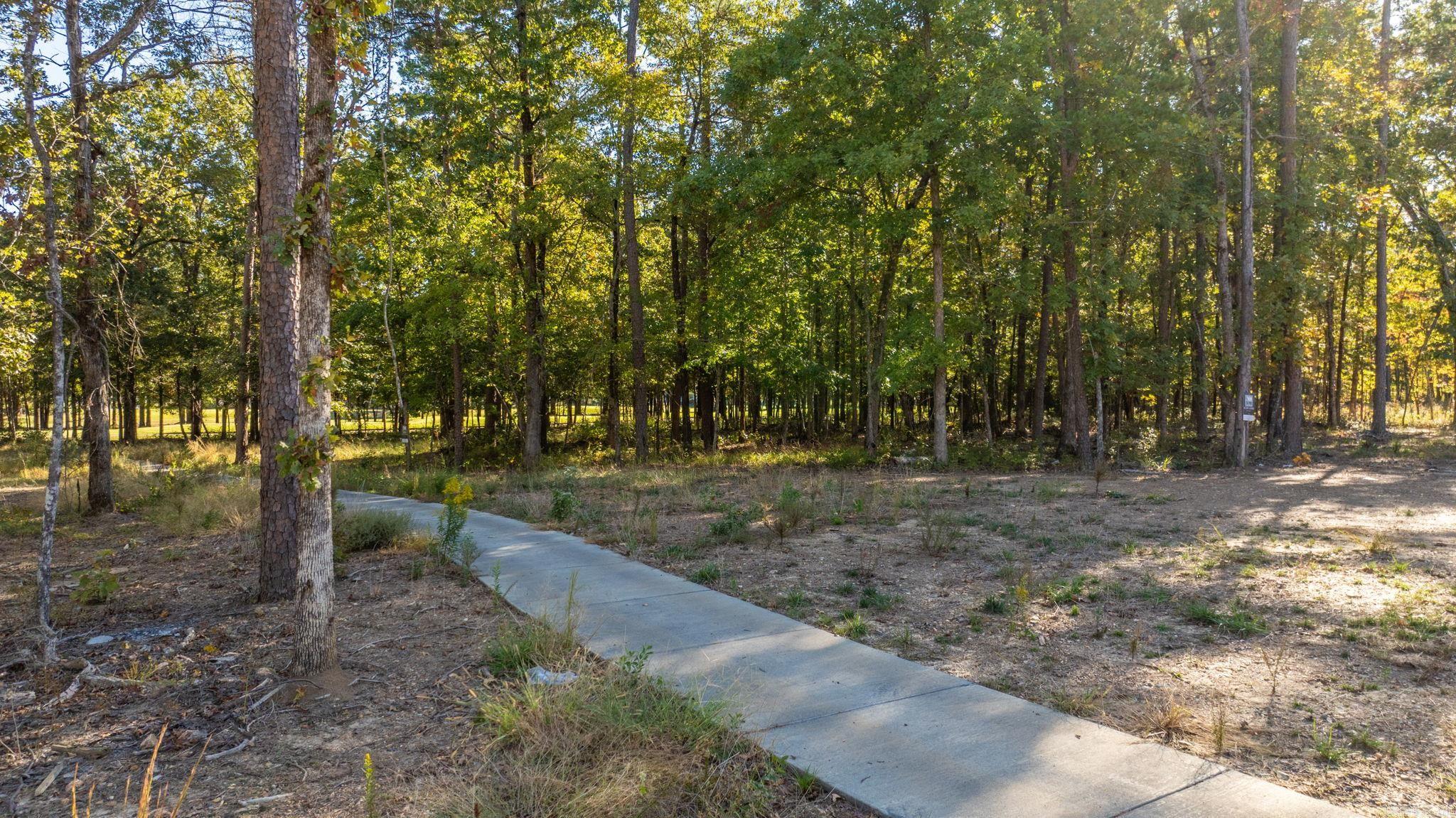 CHENAL VALLEY "MIRAMONT CIRCLE" - Land