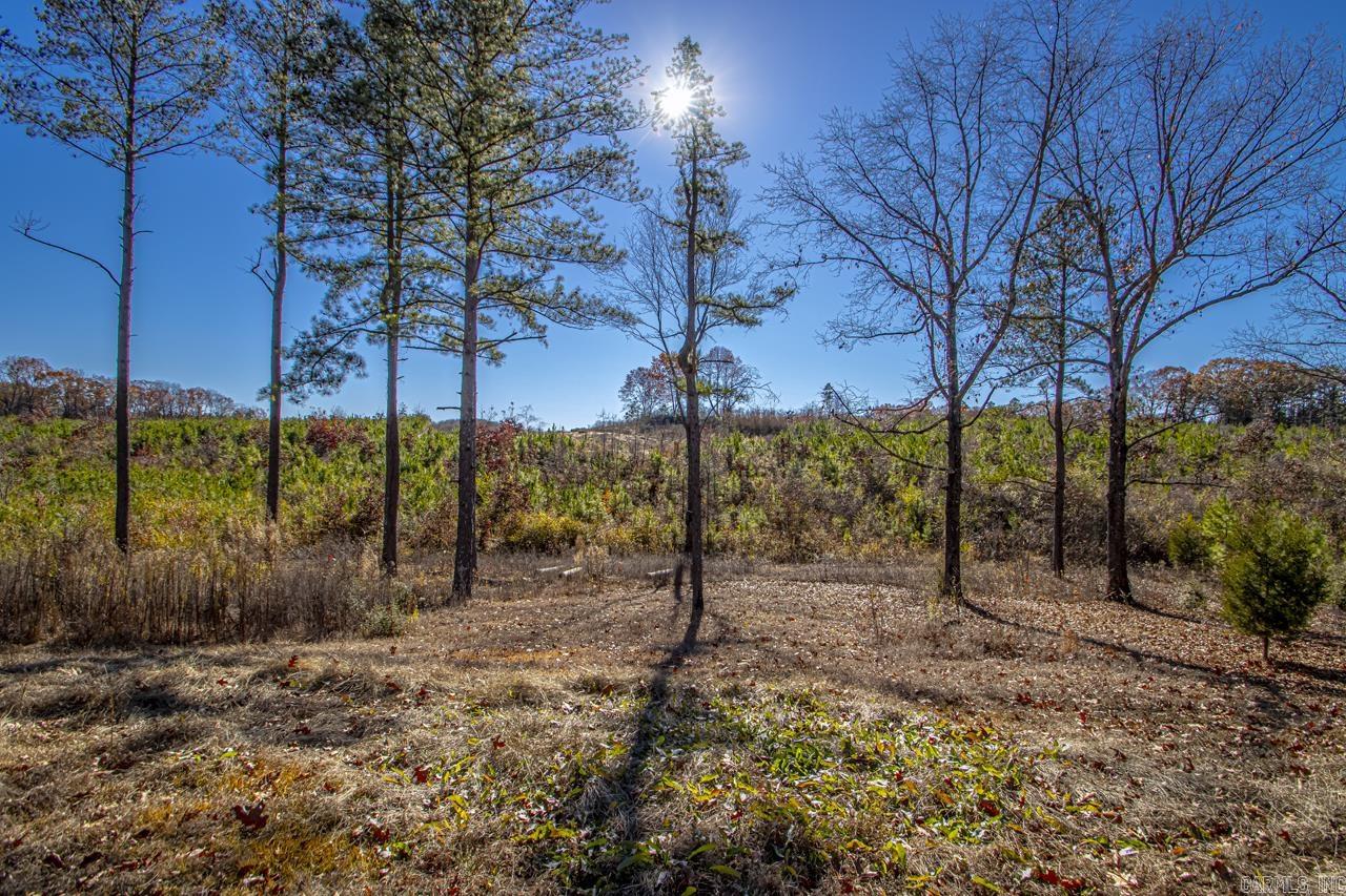 Clear Lake Estates - Residential