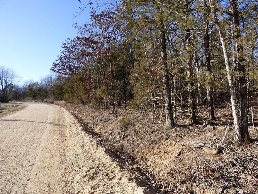 Not far off U.S. Hwy 62/412. This 2.4 +/- acres would be a great spot to build a house. The land fronts The Day Road and is close to Hwy 62/412 between Ash Flat and Glencoe.
