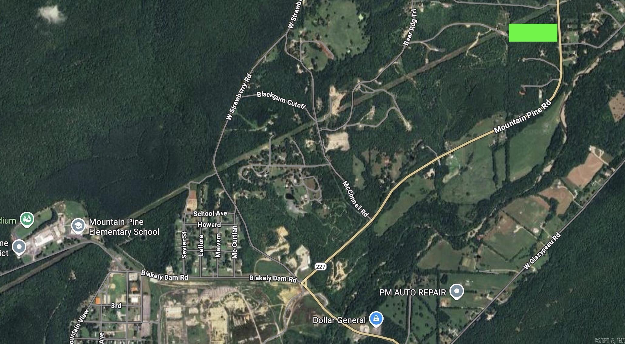 Mountain Pine Outside - Land