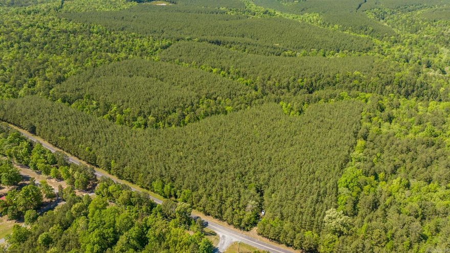 Approximately 7.42 acres with no restrictions close to the lake!! Located approximately 2.5 Miles from South Fork Rec Area, this property on Burnt Ridge Road in Shirley is a blank canvas ready for your vision; whether you're dreaming of your own private retreat or vacation get away, this land is ready for you to bring your plans to life. Petit Jean Electric, Fiber Optic Internet available, and public water across Burnt Ridge Road. This property also features: Approximately 100 feet of road frontage, a mixture of pine and hardwoods, a creek, and is on flat and buildable topography!   Taxes need to be verified and survey is on file!