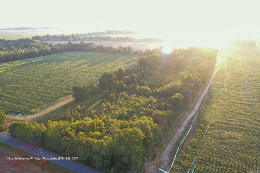 Natural wetland a short distance from Bayou Deview and the Cache River.  This property is in the core of the flyway and offers the opportunity to put your mark on a natural wetland that will draw game-regardless of the season.  The property does not hold water the entire year affording the owner opportunity to grow forage and foster habitat.  High quality road access, power at the roadside, and a short drive to I-40 all make this a convenient, affordable property in an area where you can hunt-no matter what is in season.  Surrounded by forage during growing season, this property becomes cover for game when fall and winter come around.    Contact Bernie Crowley at Whitetail Properties today-this property will not stay available long.