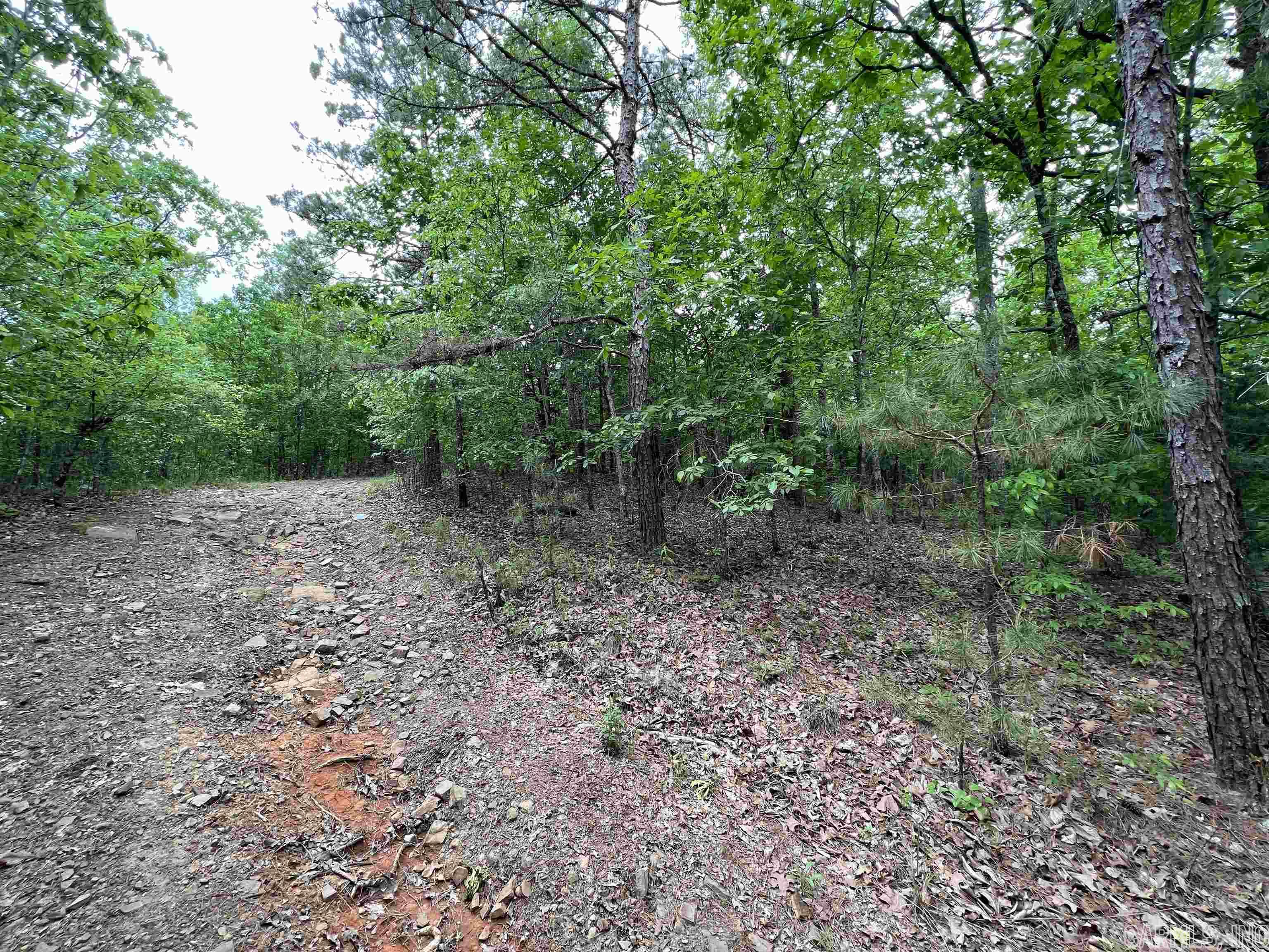 River Place II Revised - Land