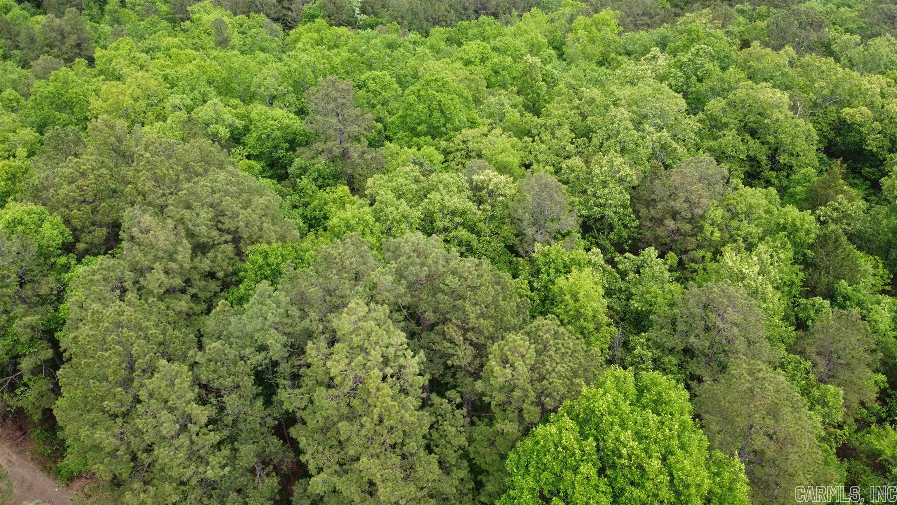 River Place II Revised - Land