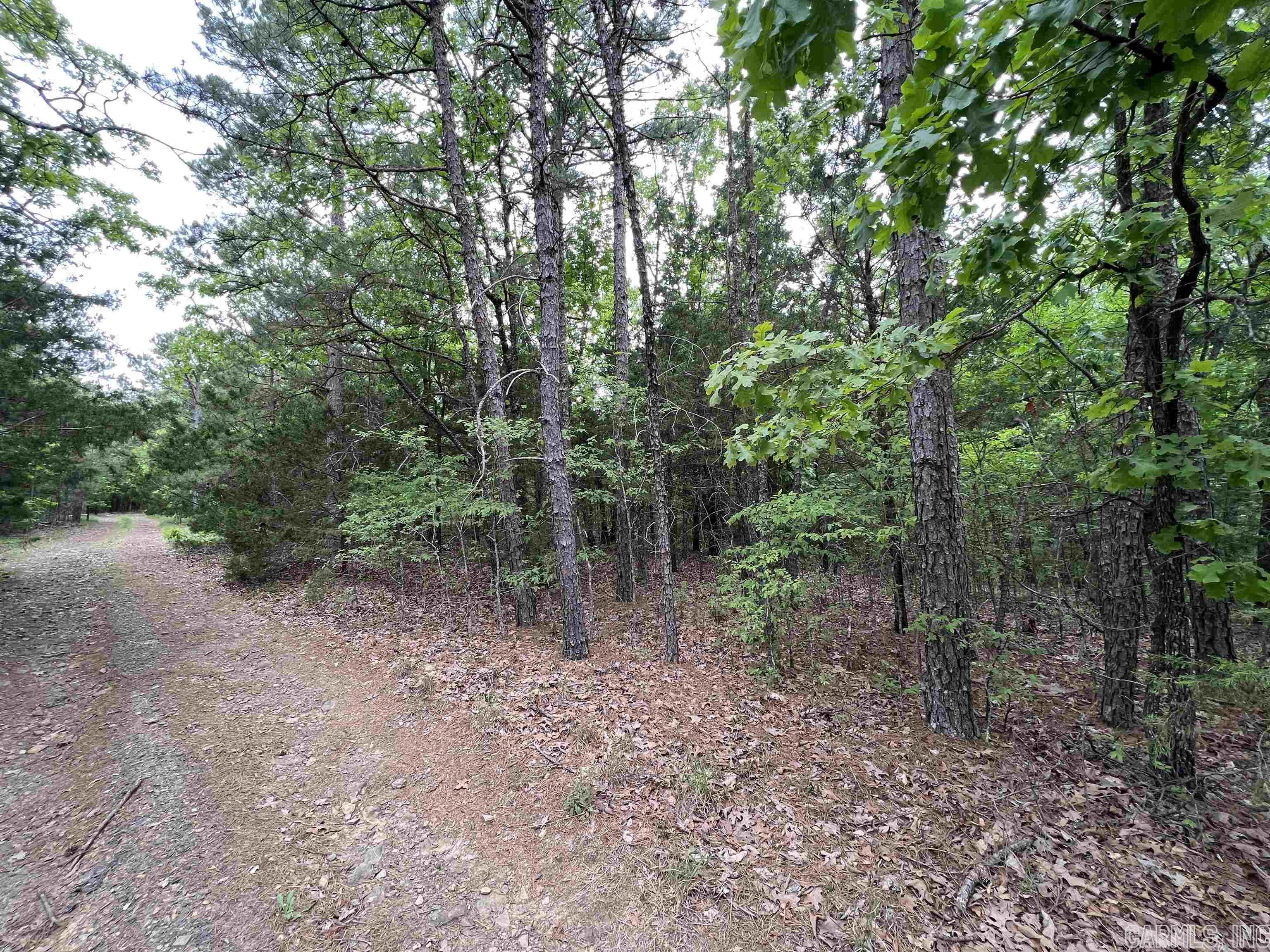 River Place II Revised - Land