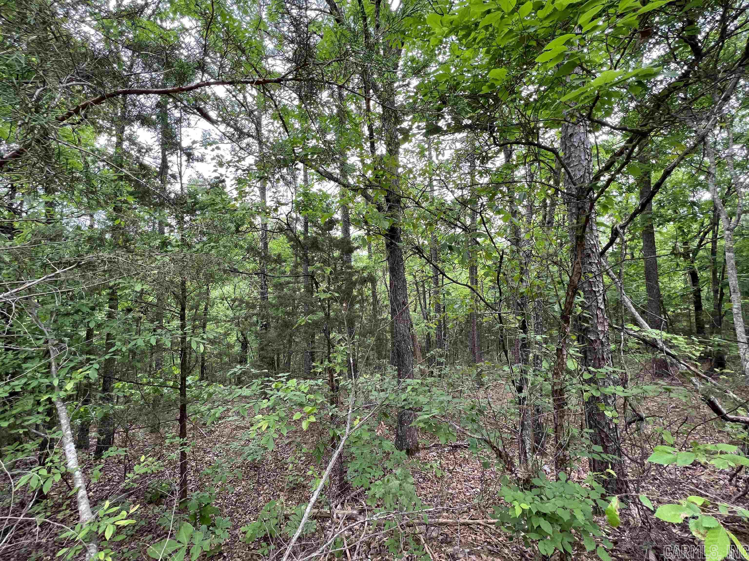 River Place II Revised - Land