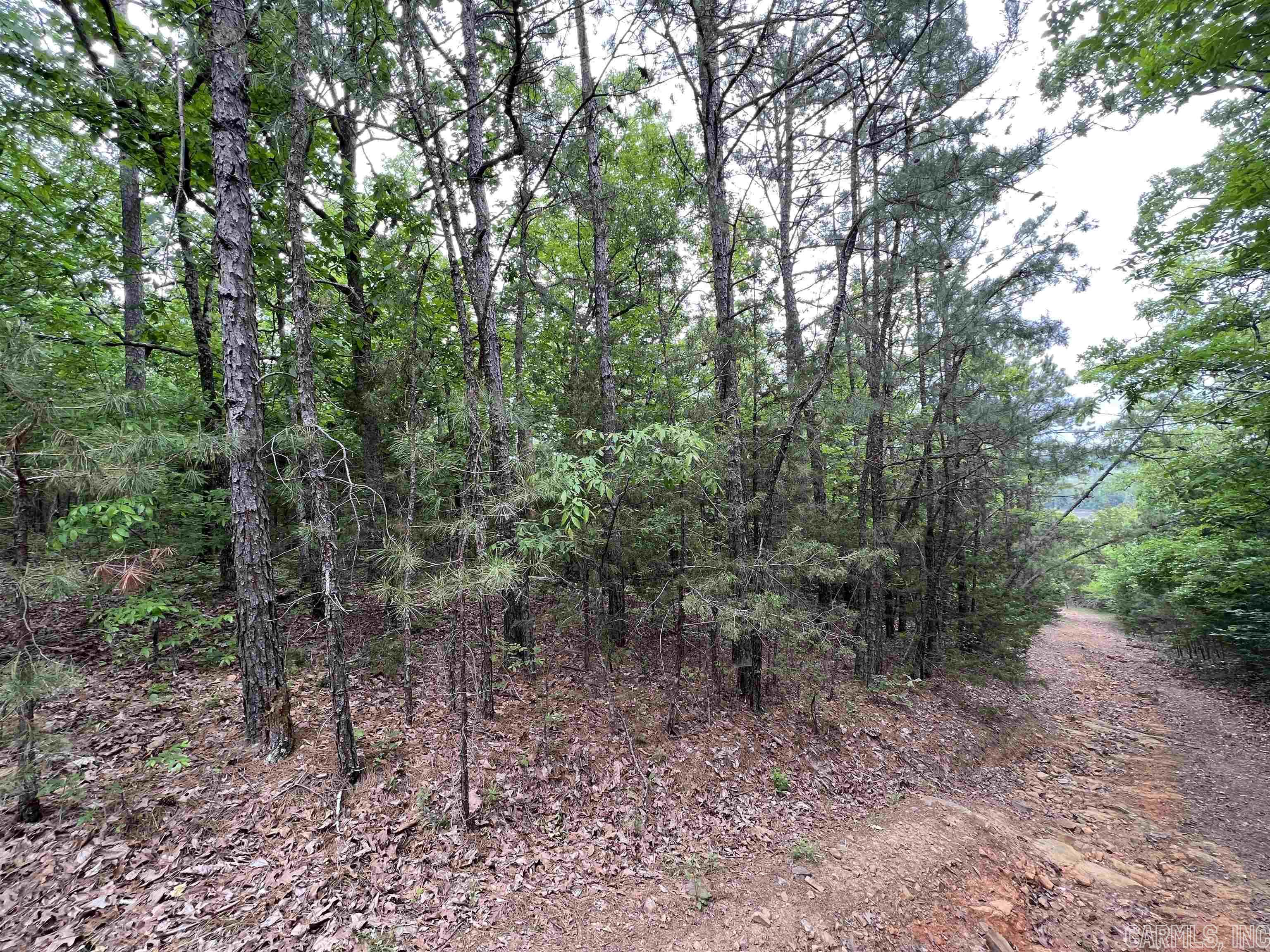 River Place II Revised - Land