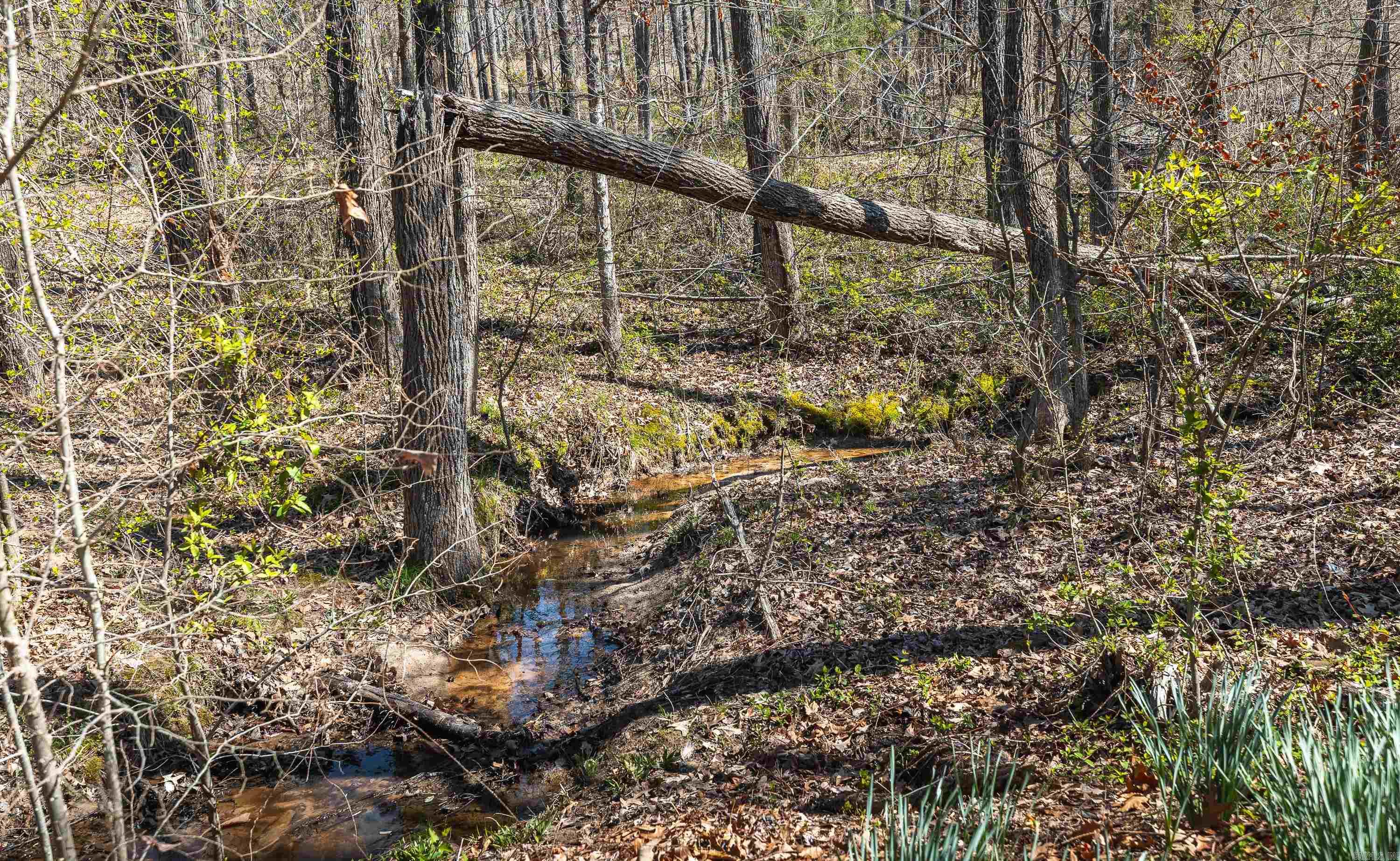 Crockett - Residential